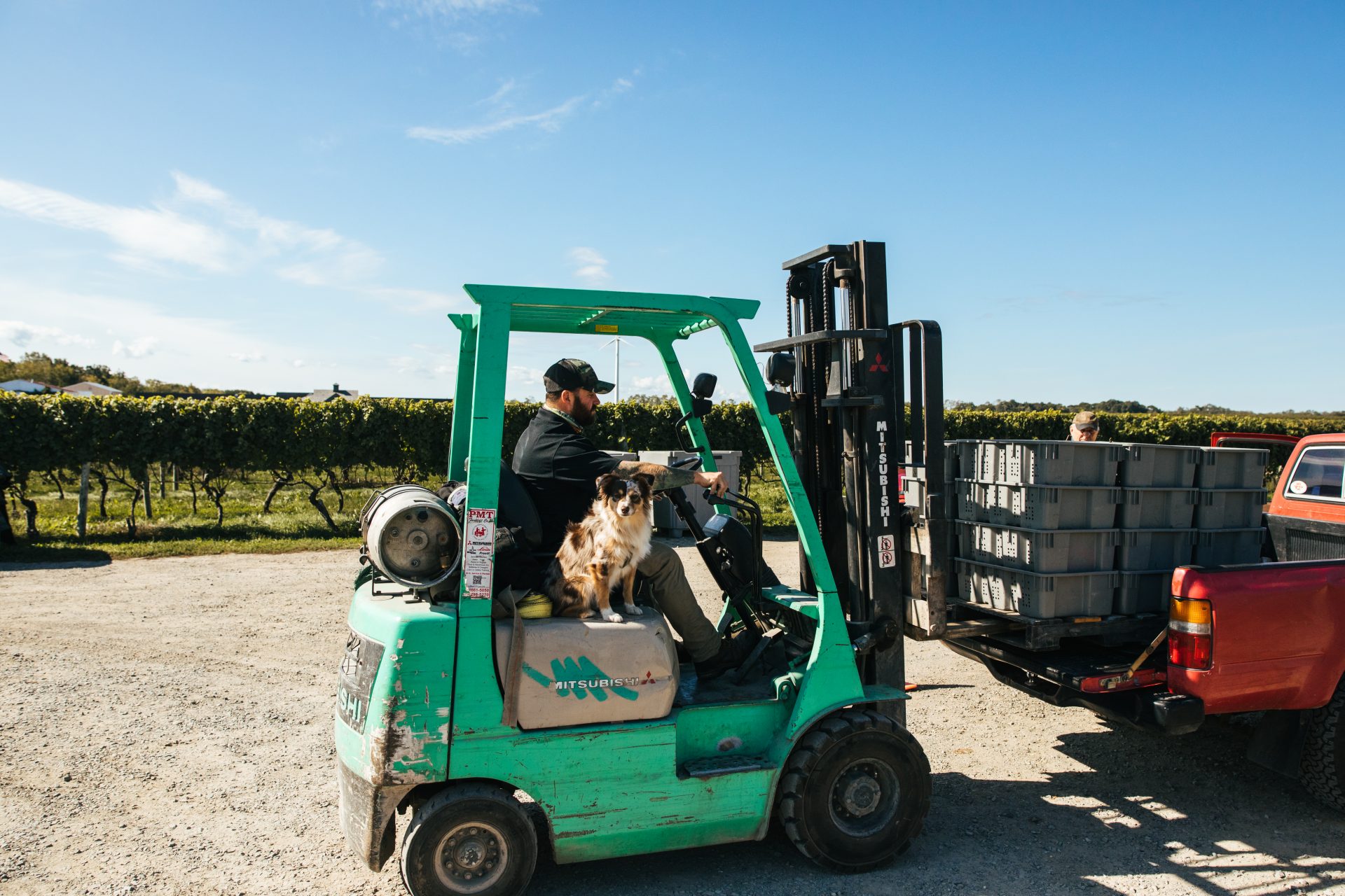 Lenz Winery 2