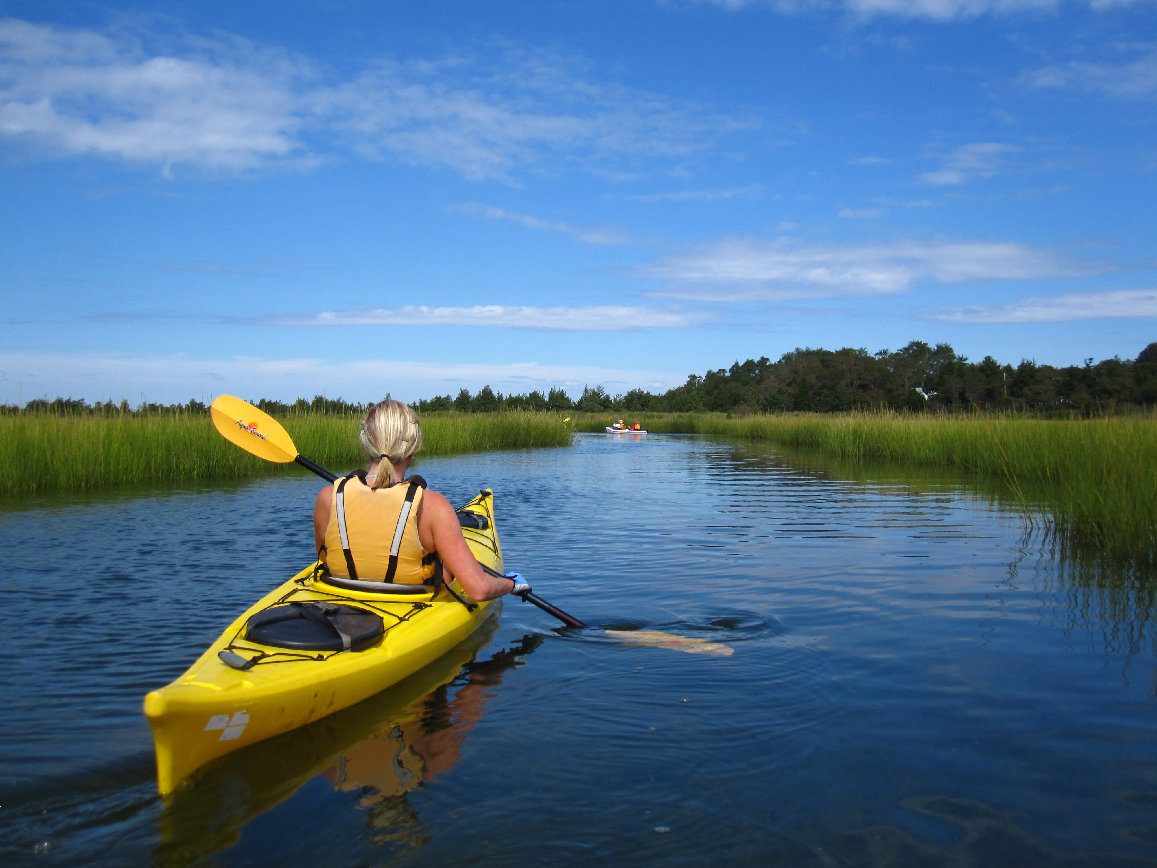 Southampton Kayak Tour