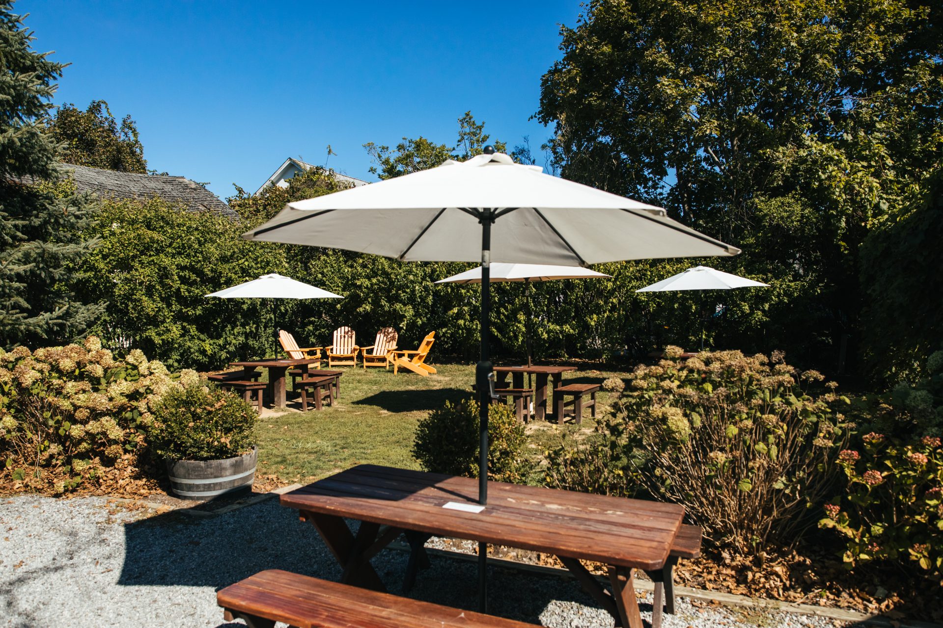 Lenz Winery 1