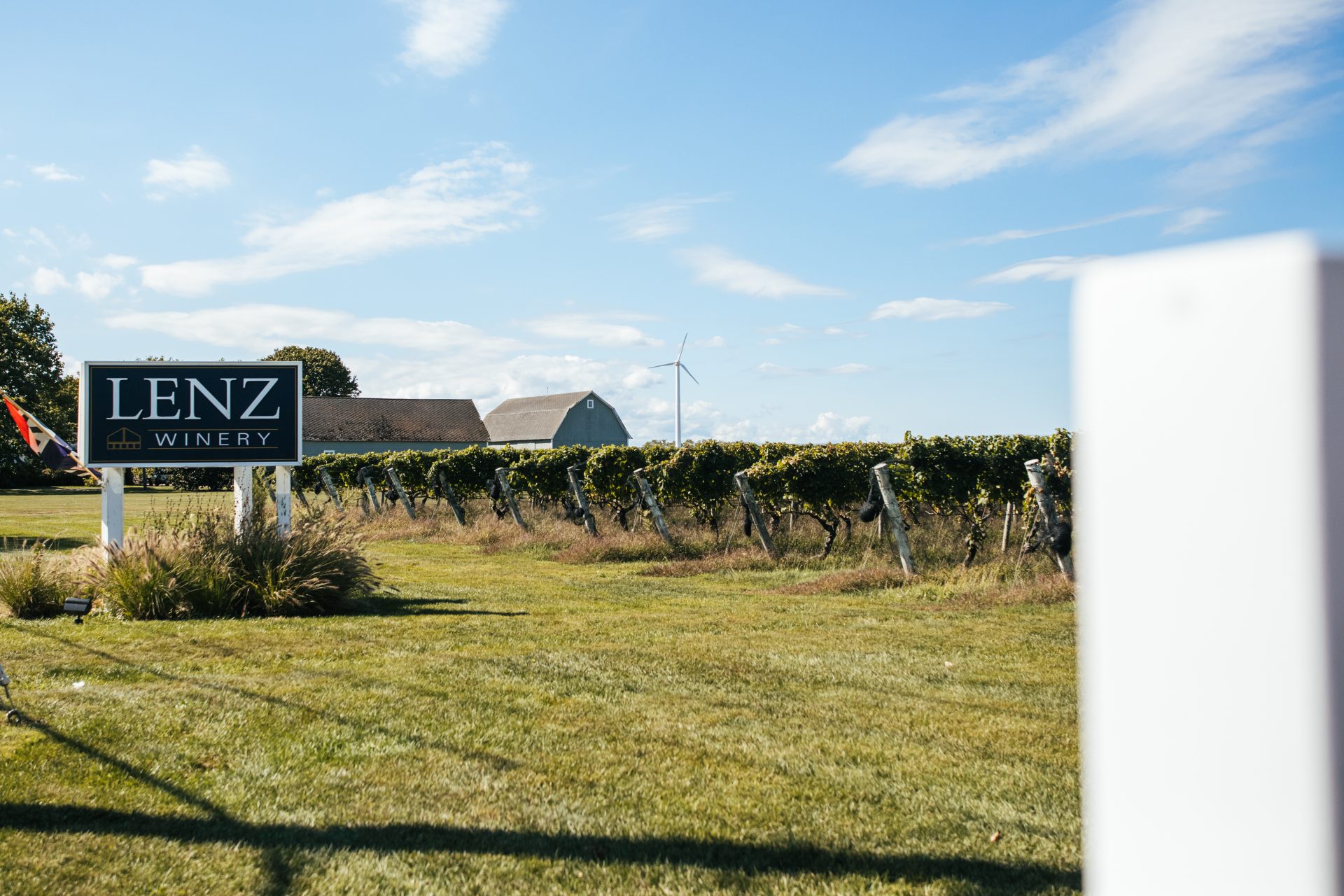 Lenz Winery 4