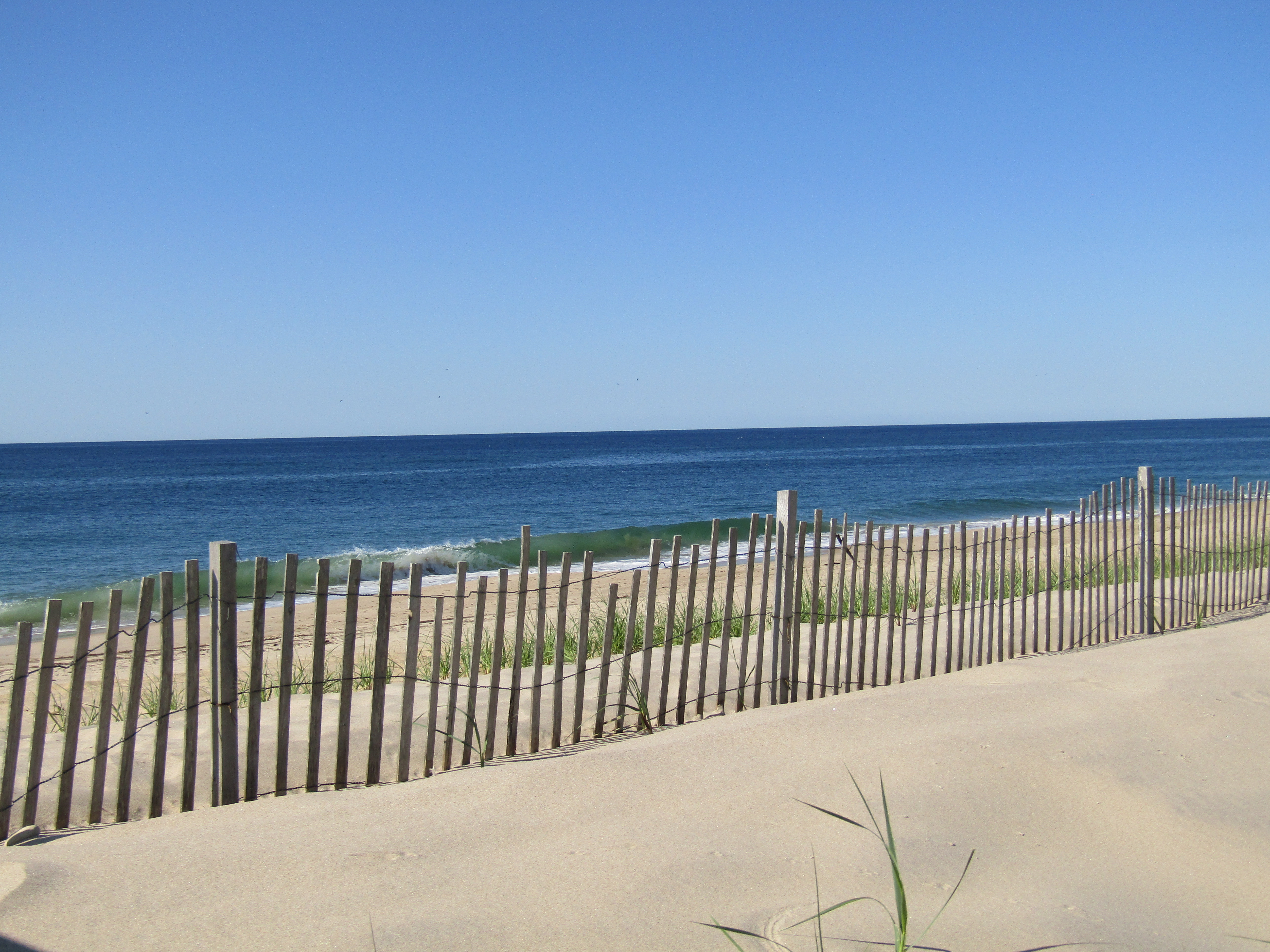 Ocean Beach - Beach located 100 ft. from Sole Beach Hotel