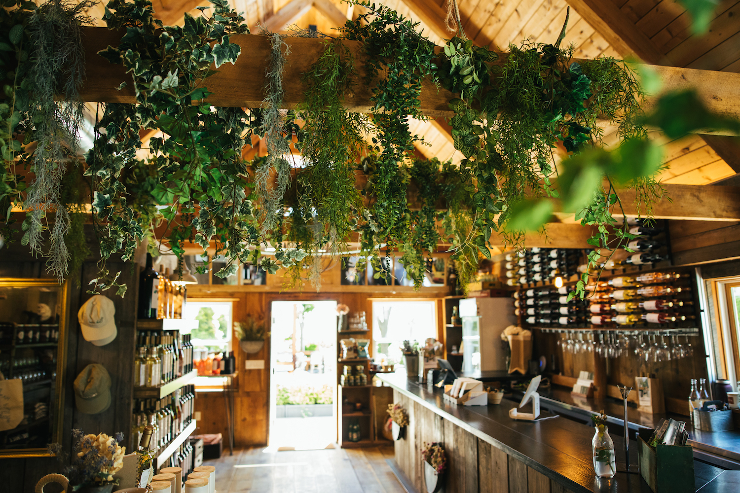 Rose Hill Vineyards 1