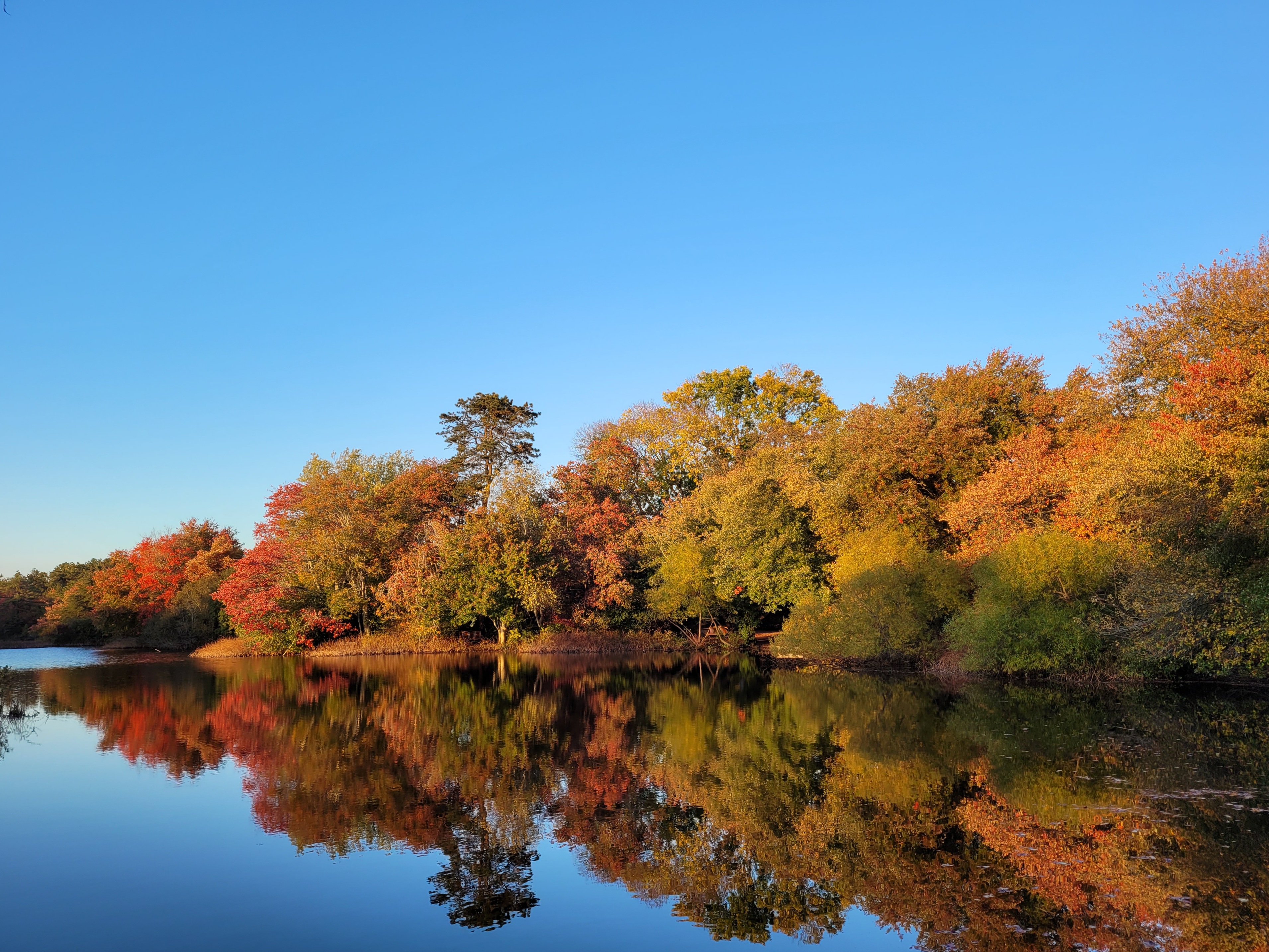 Fall Foliage at QWR - credit: Cara Fernandes