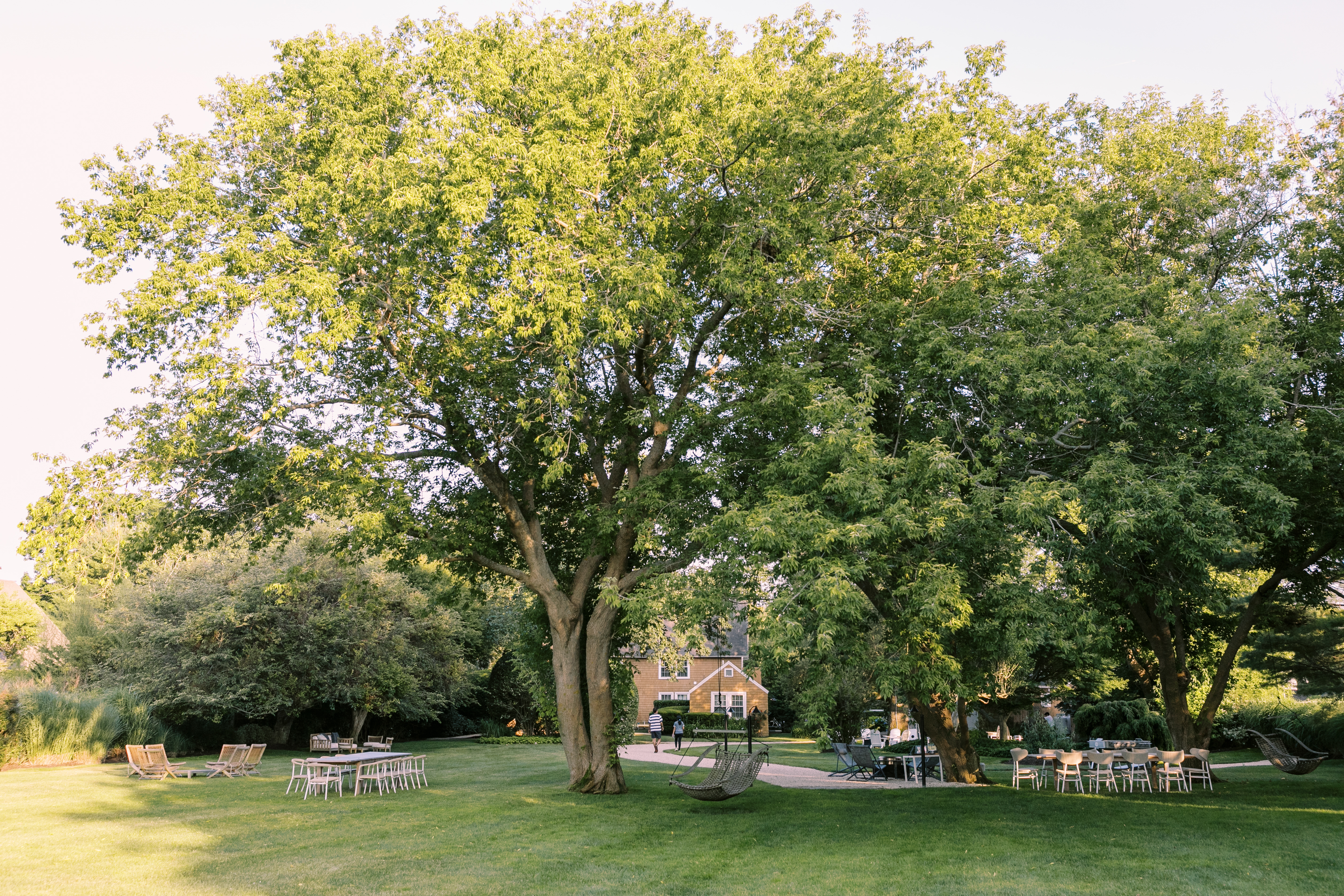 Lawn -2