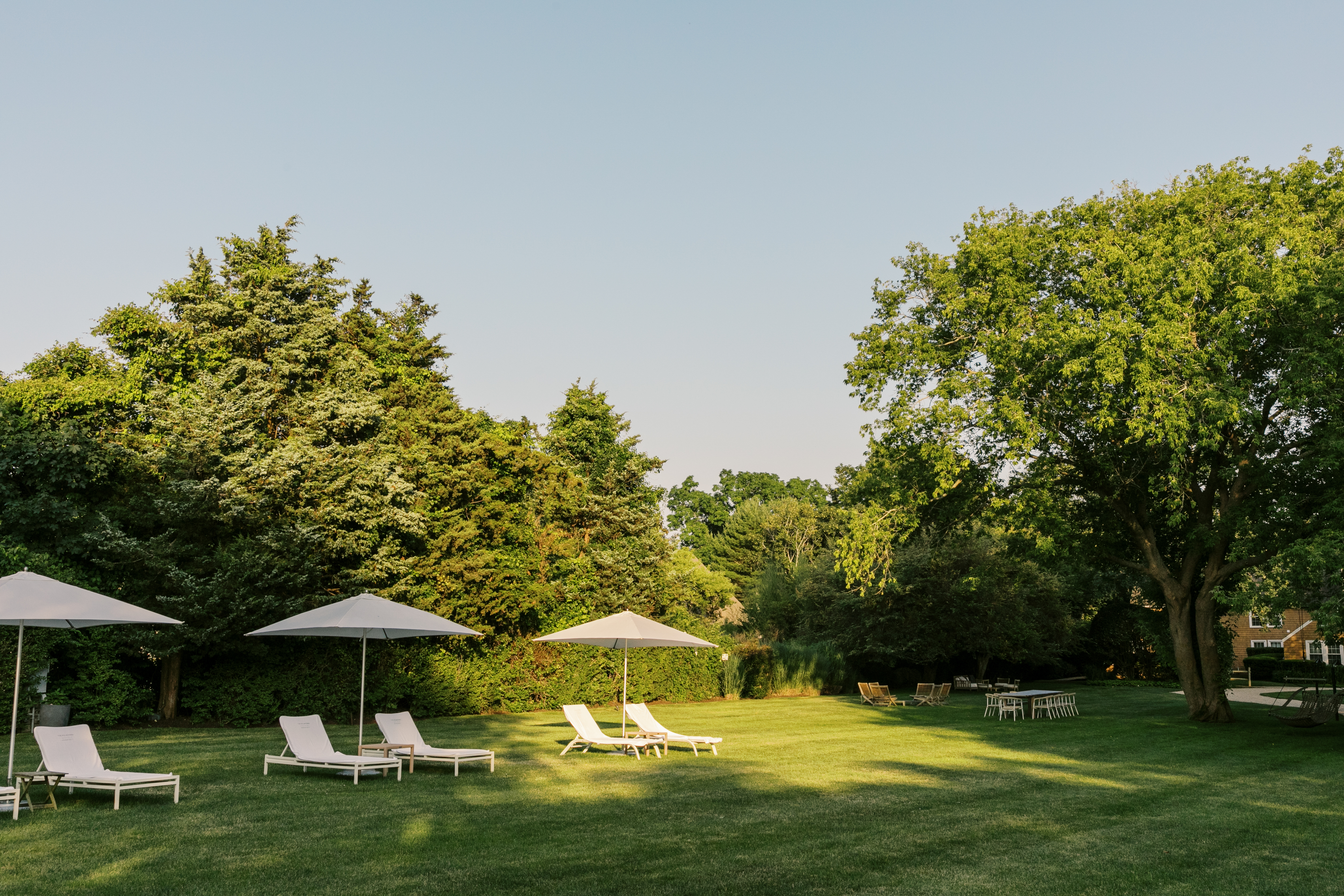Lawn