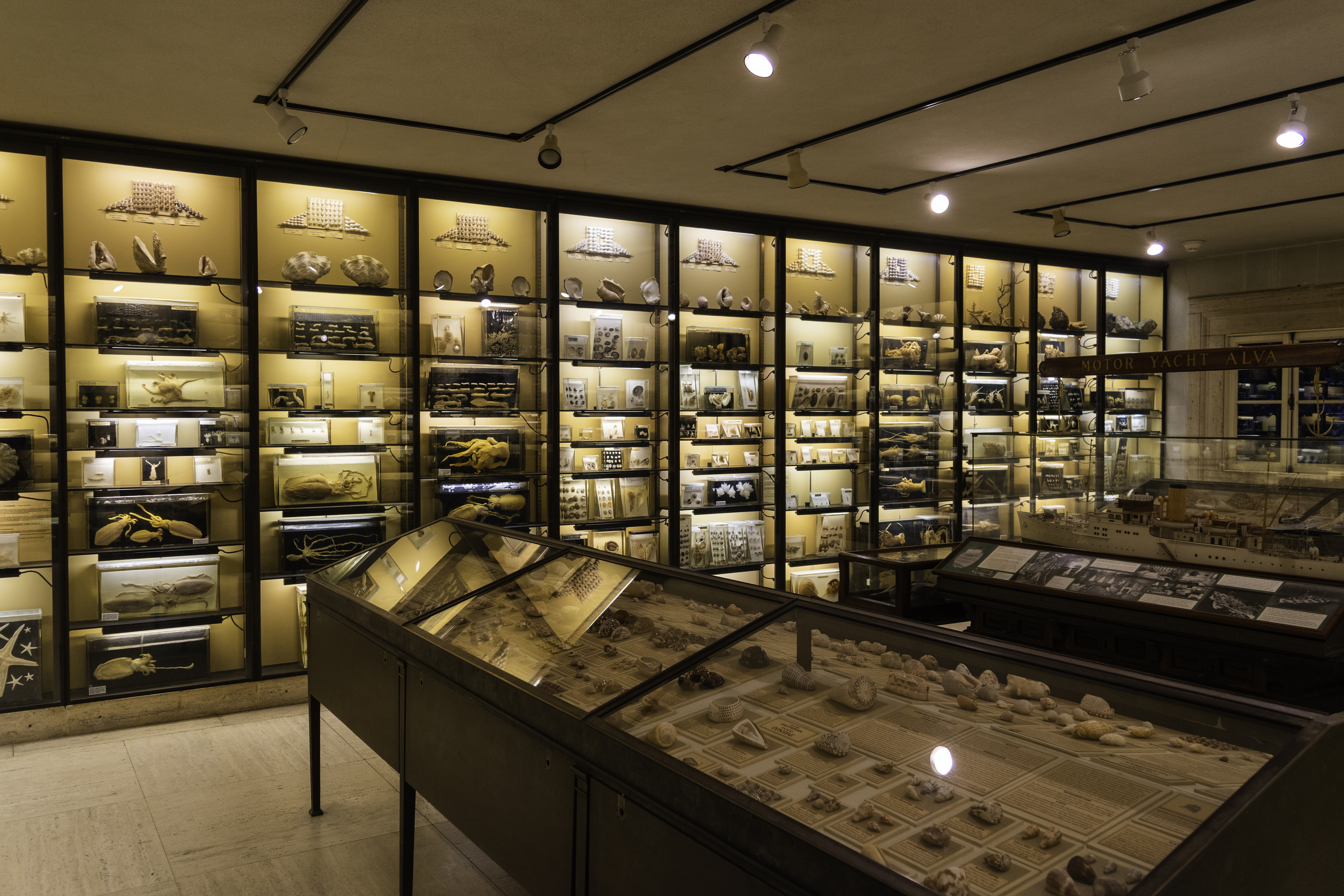 Memorial Wing Marine Room