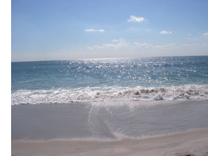 Ocean Beach