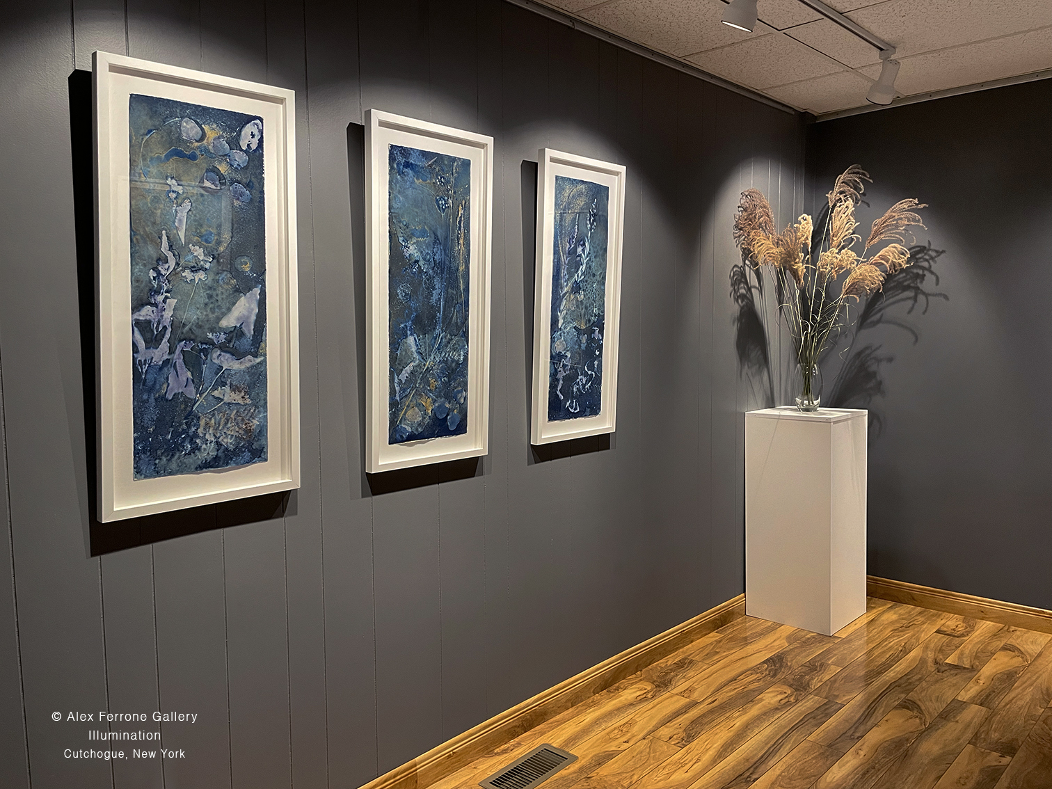 Illumination Exhibition 2024: Chris Ann Ambery