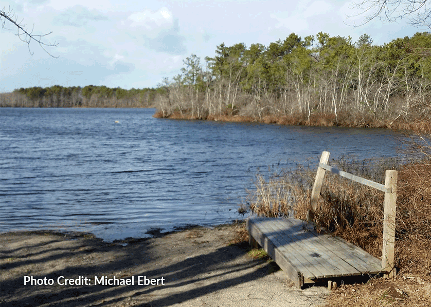 Robert Cushman Murphy County Park - Credit: Michael Ebert
