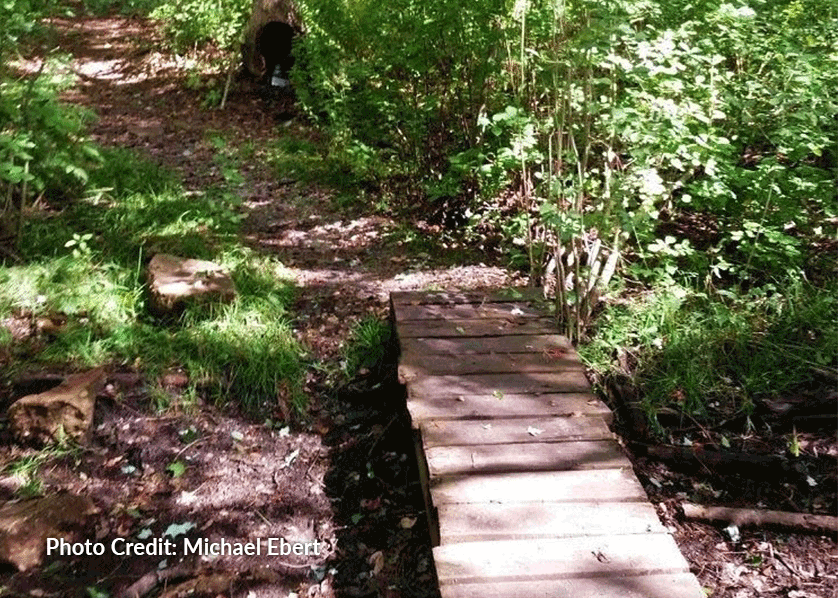 Sans Souci County Park - Credit: Michael Ebert