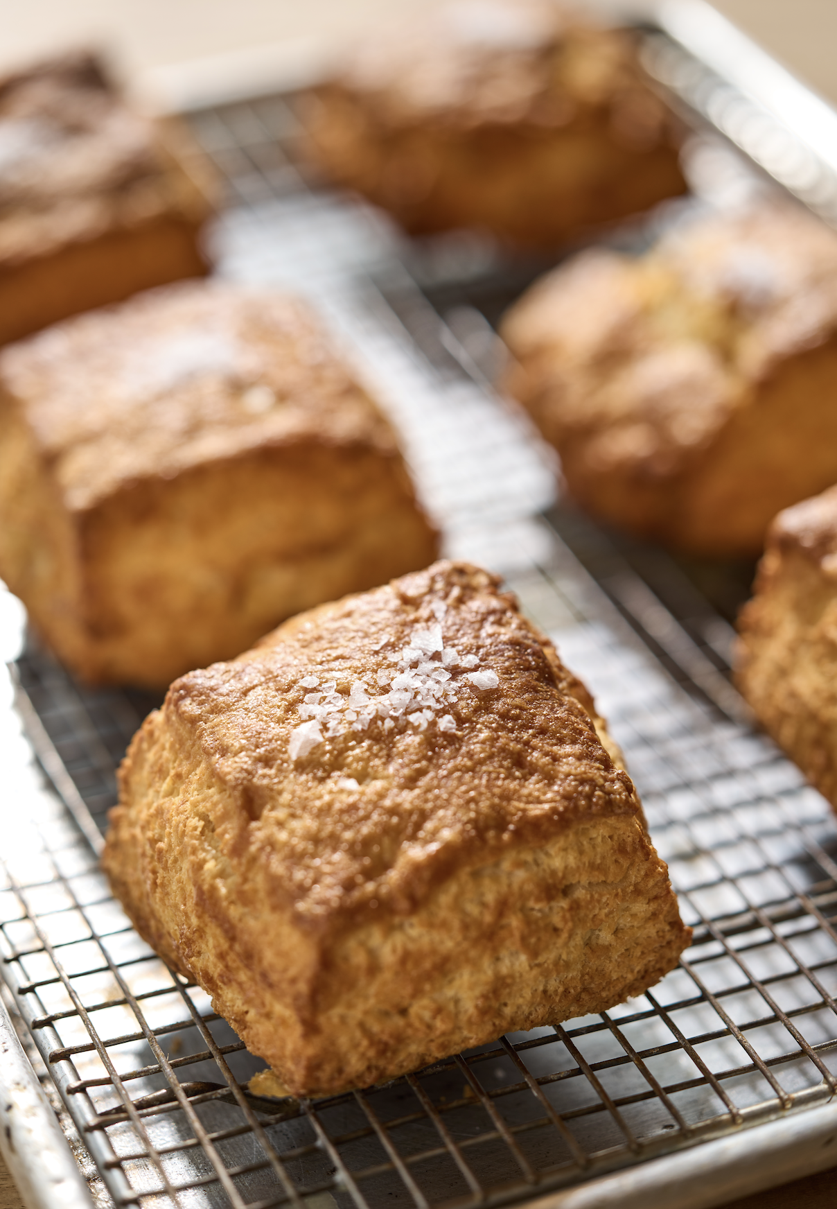 Biscuit