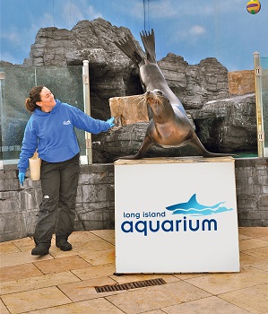 Sea Lion Show - Sea Lion Show at Long Island Aquarium