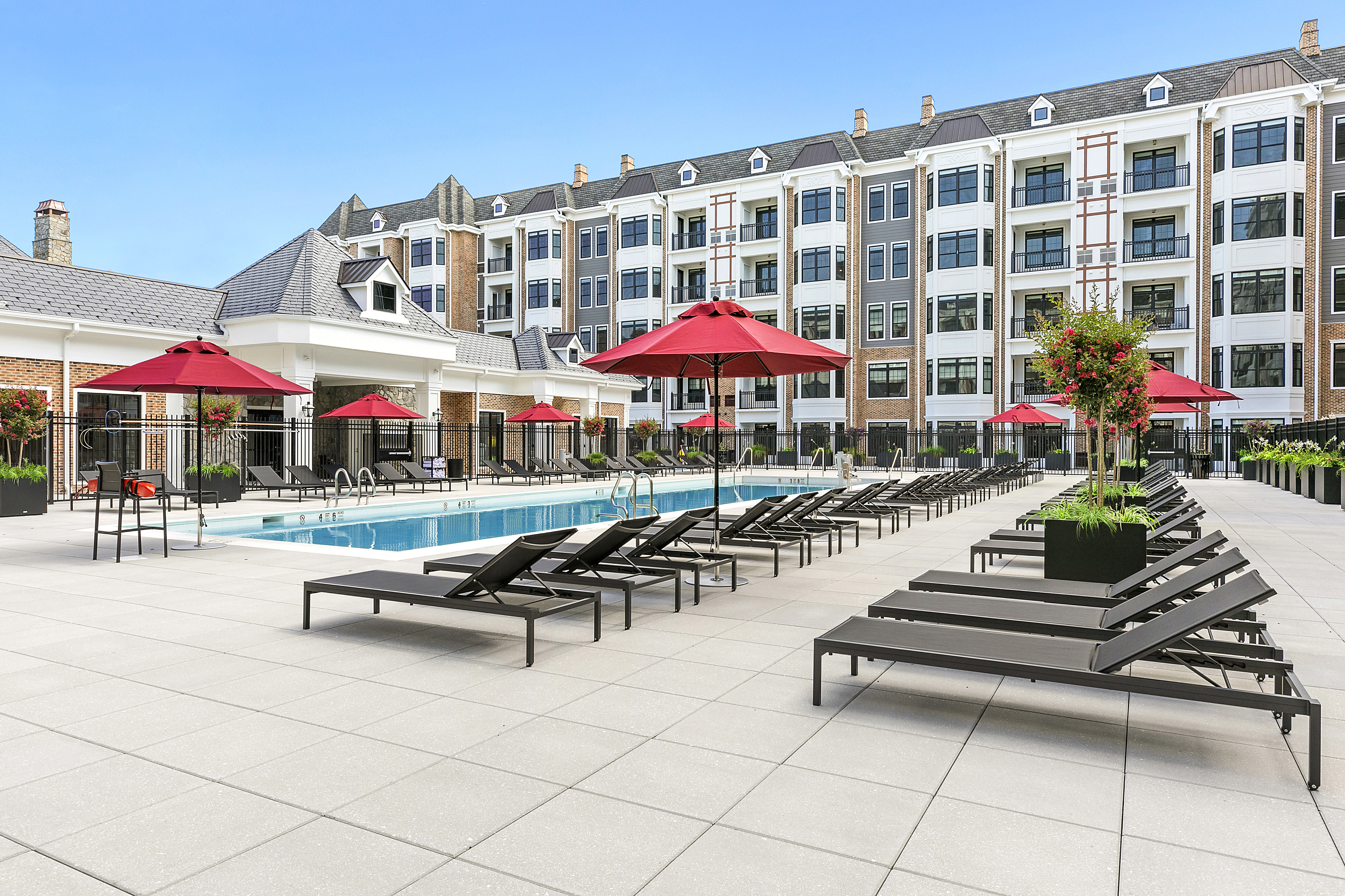 Pool - The Selby Outdoor Pool