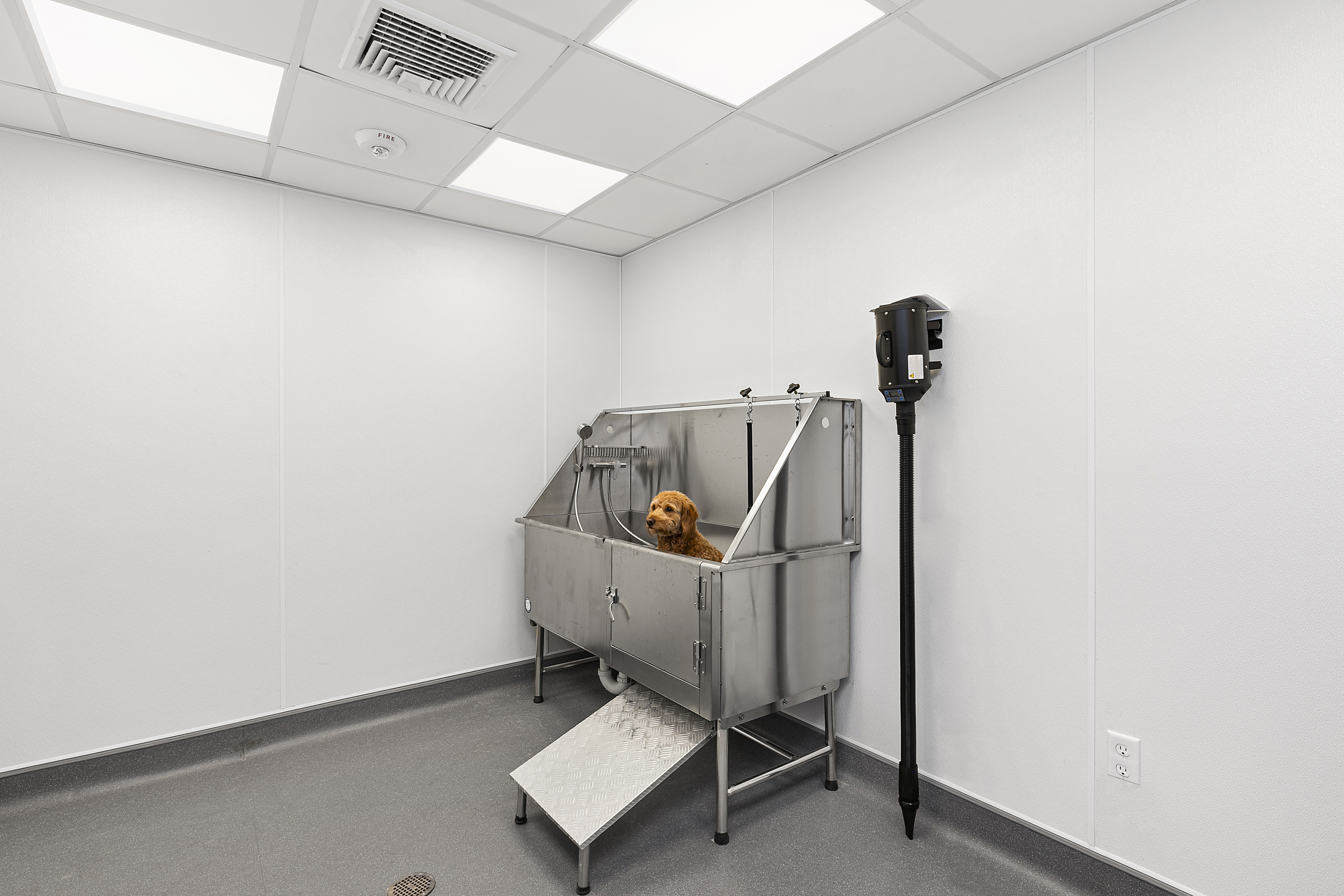 Pet Grooming Station - The Selby Pet Grooming Station