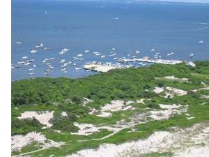 Sunken Forest at Sailors' Haven