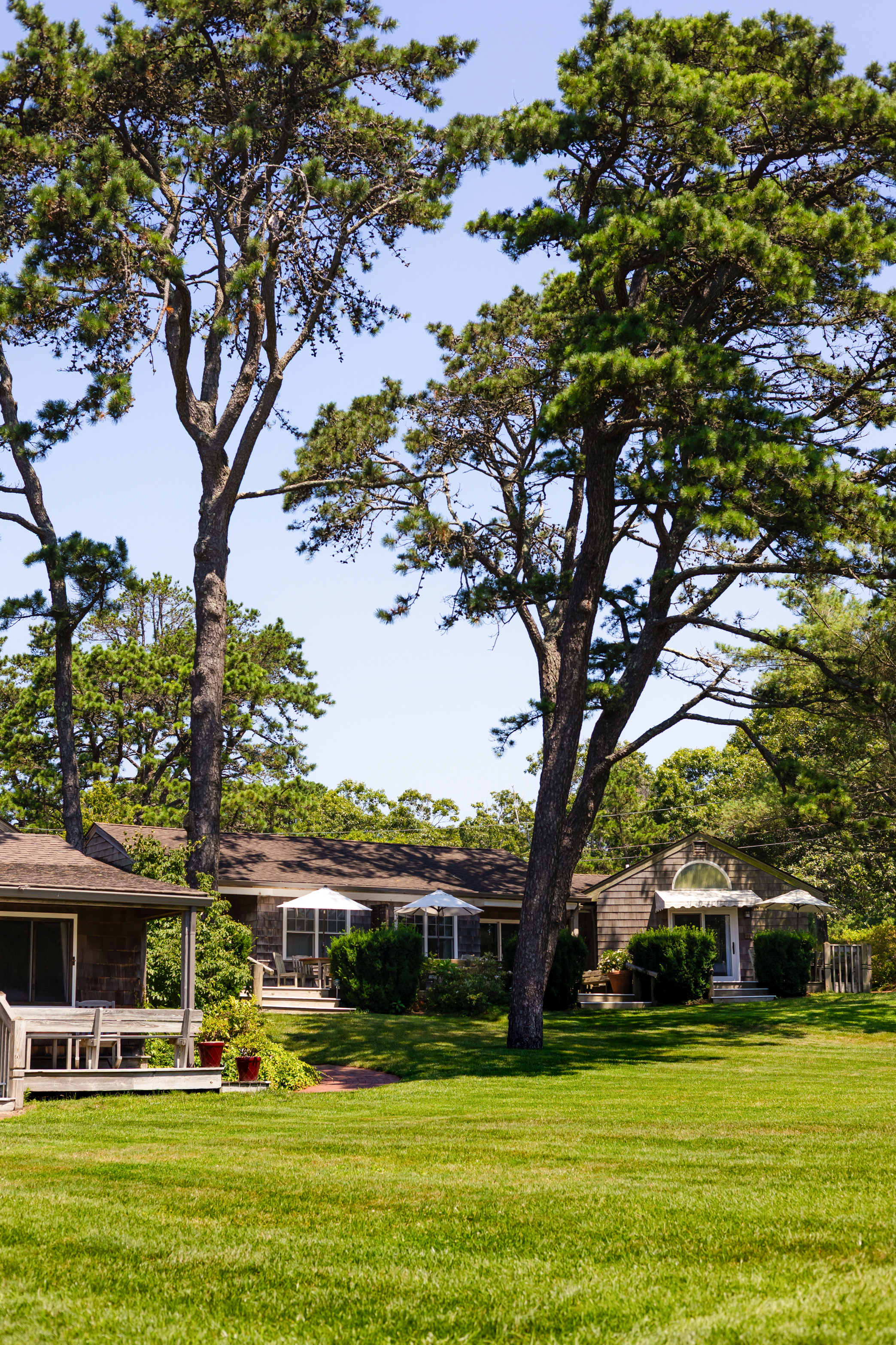 Grounds
