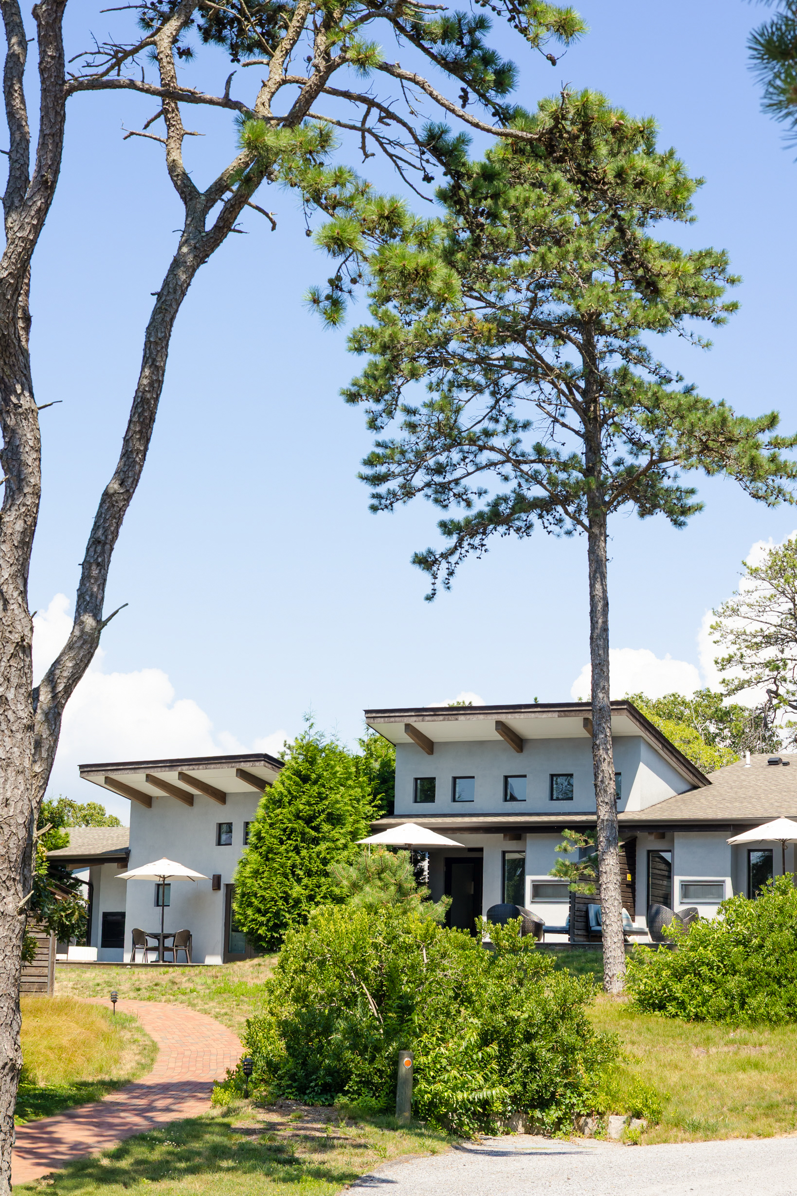 Grounds