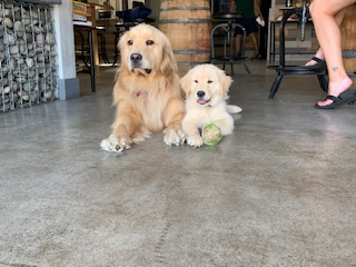 The Two Boys