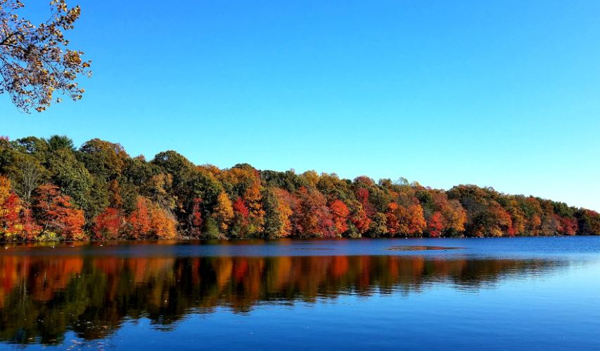 Blydenburgh County Park