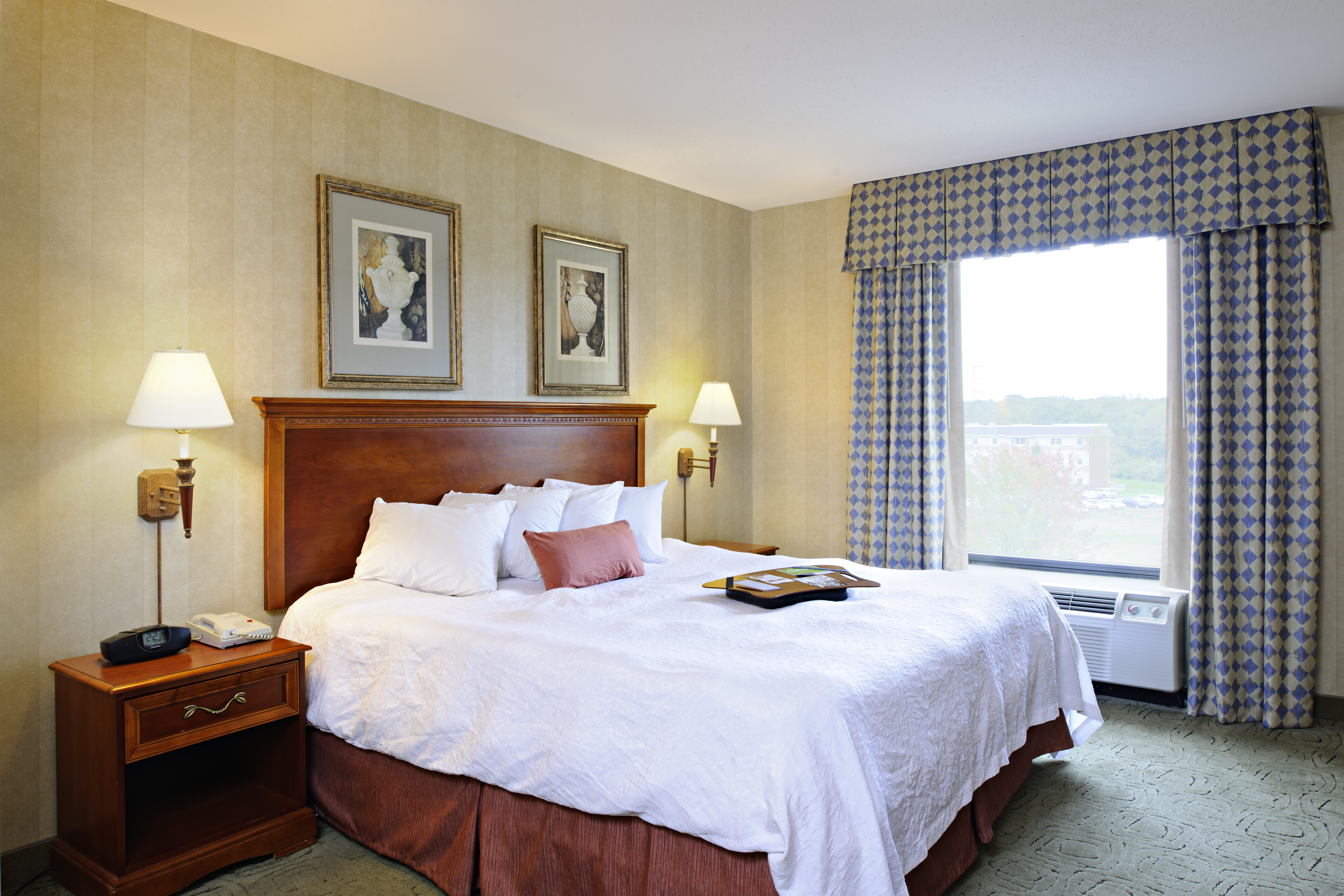 King Guest Room