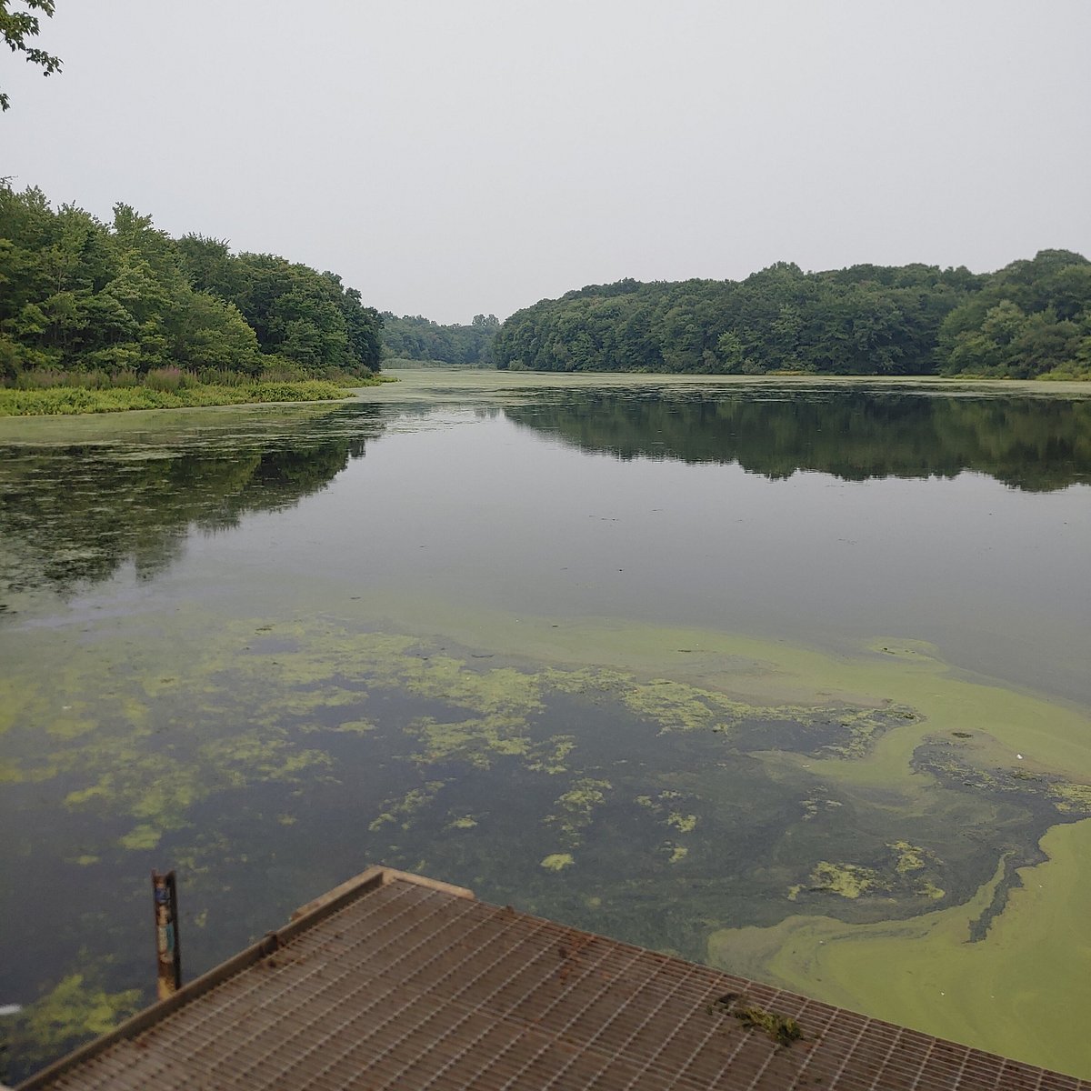Millers Pond