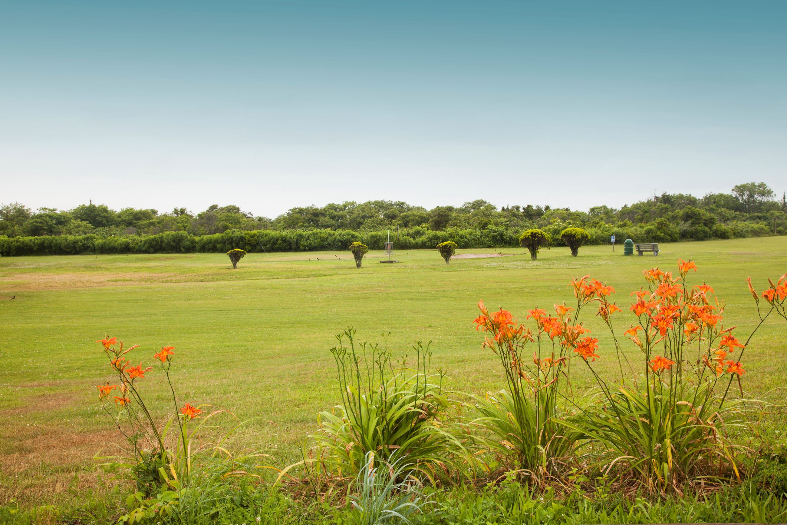Cedar Beach Golf Course Overview