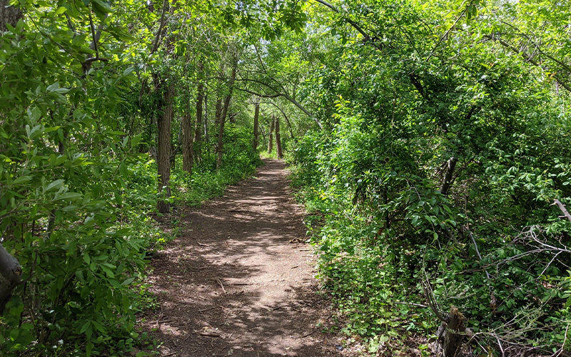 Edgewood Oak Brush Plains Preserve