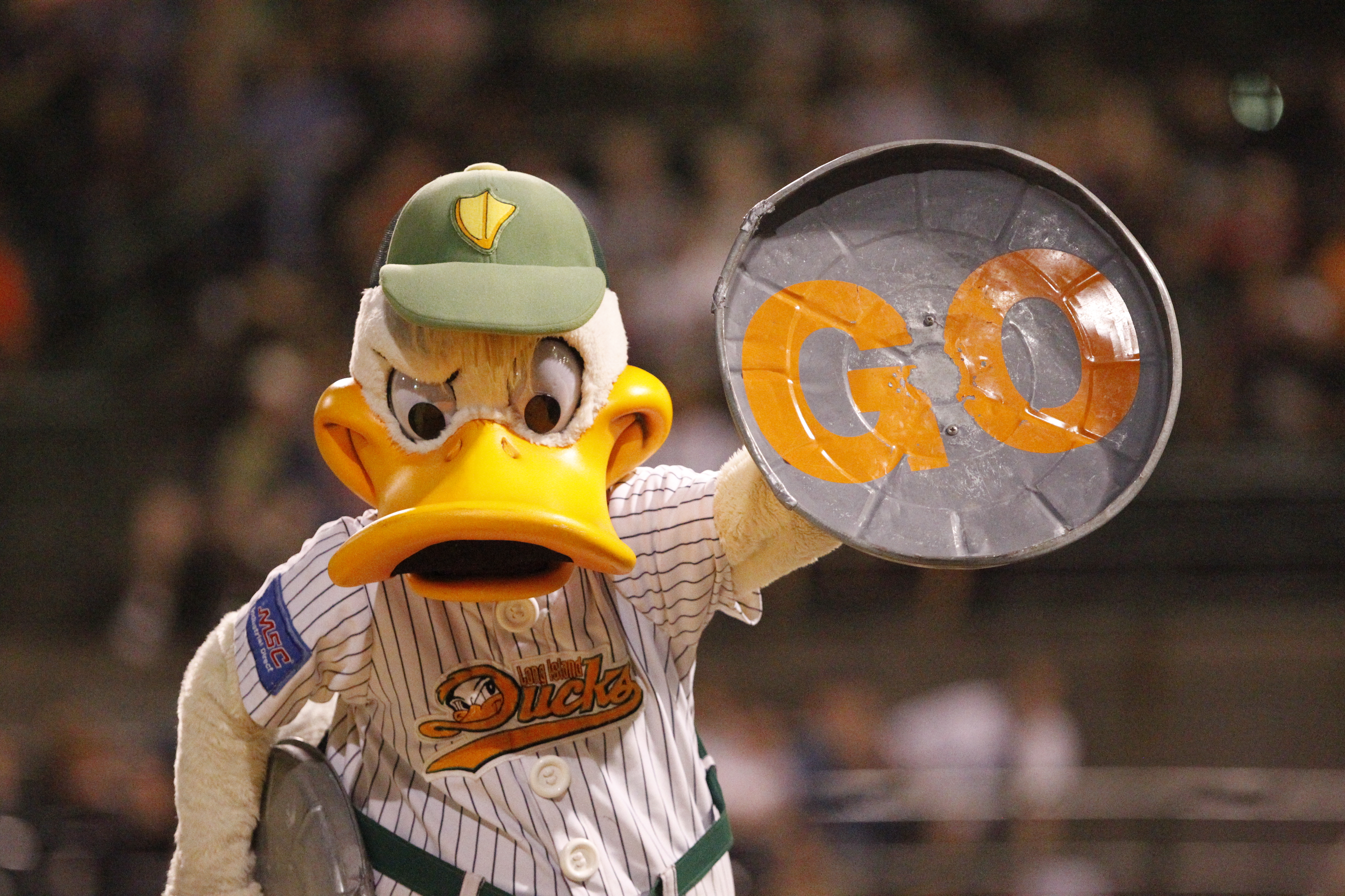 Quackerjack Go to the Game!