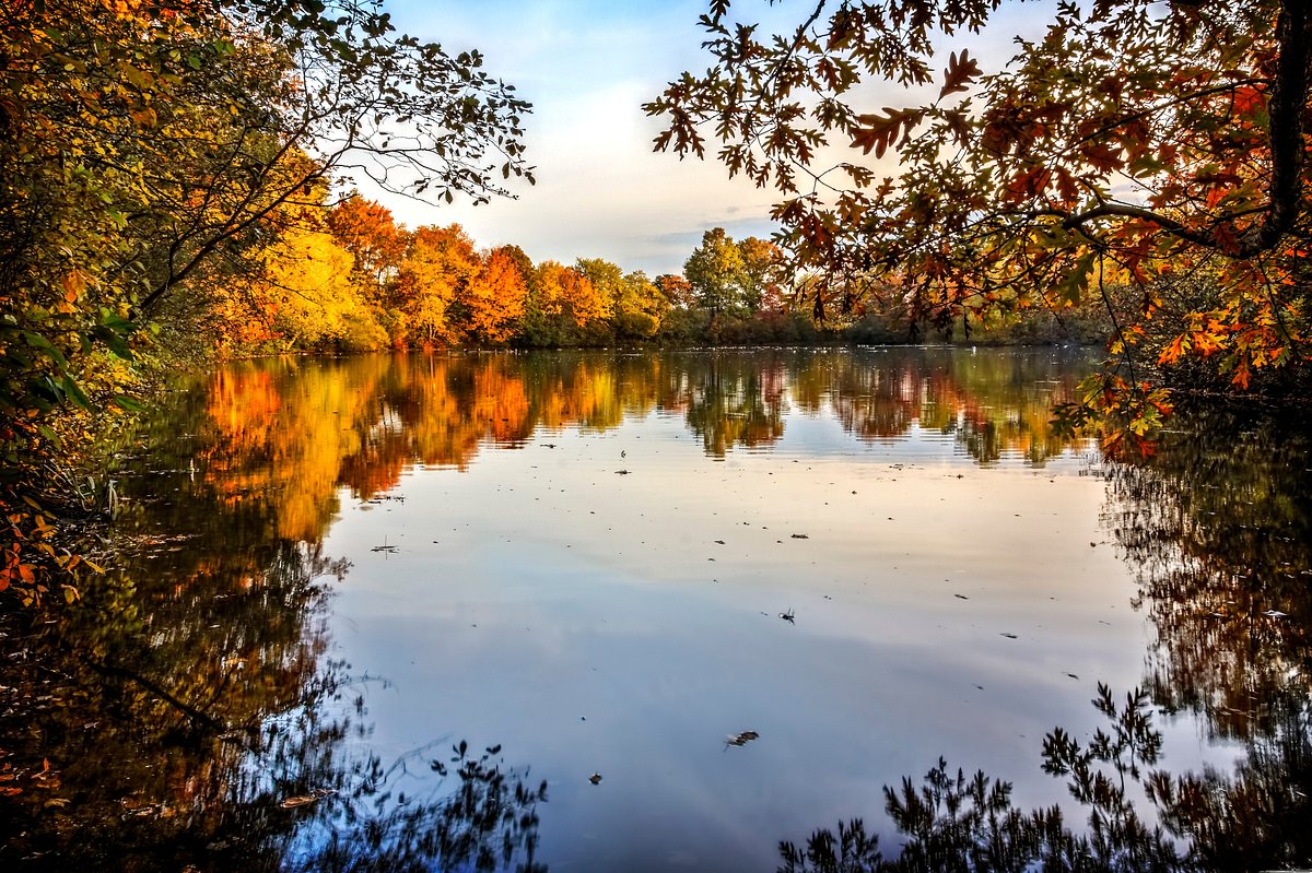 Twin Lakes Preserve