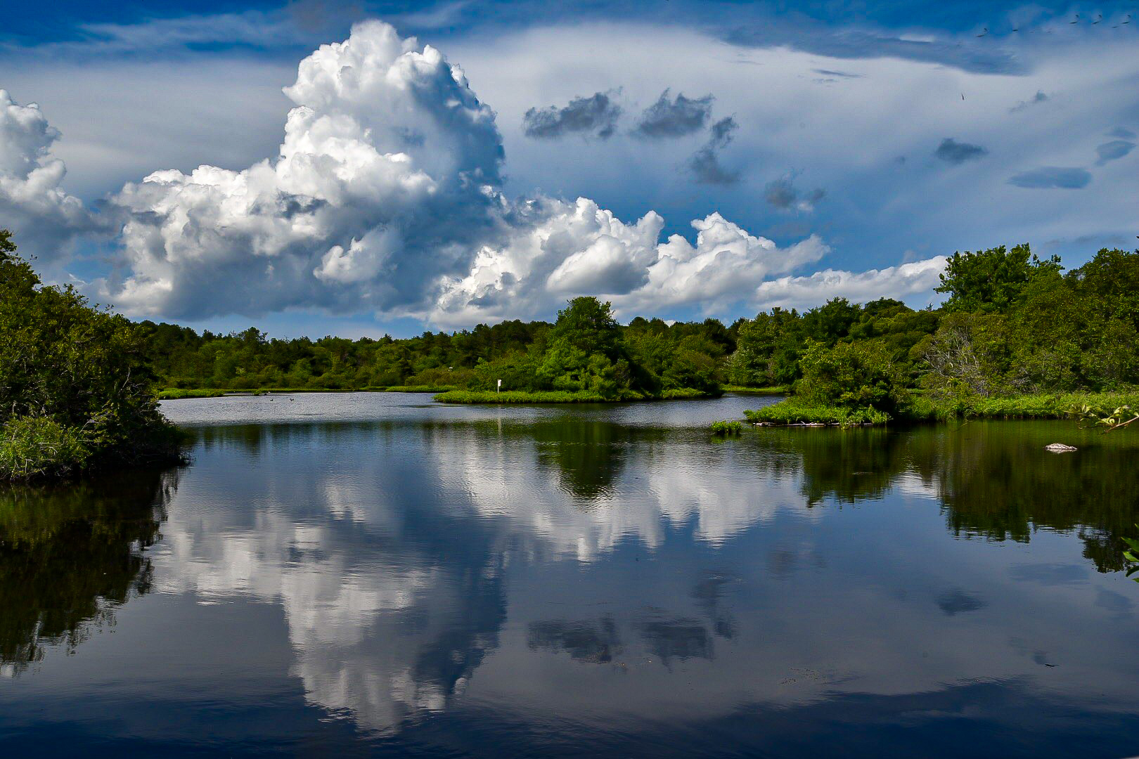 Old Ice Pond - credit: Joseph Rodriguez