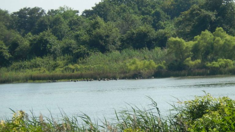 Poxabogue County Park