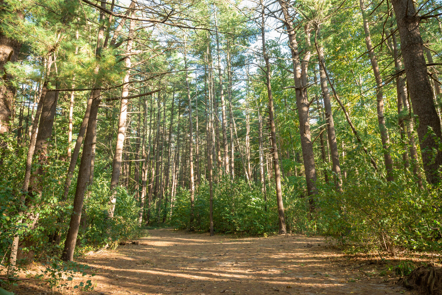 Prosser Pines Nature Preserve