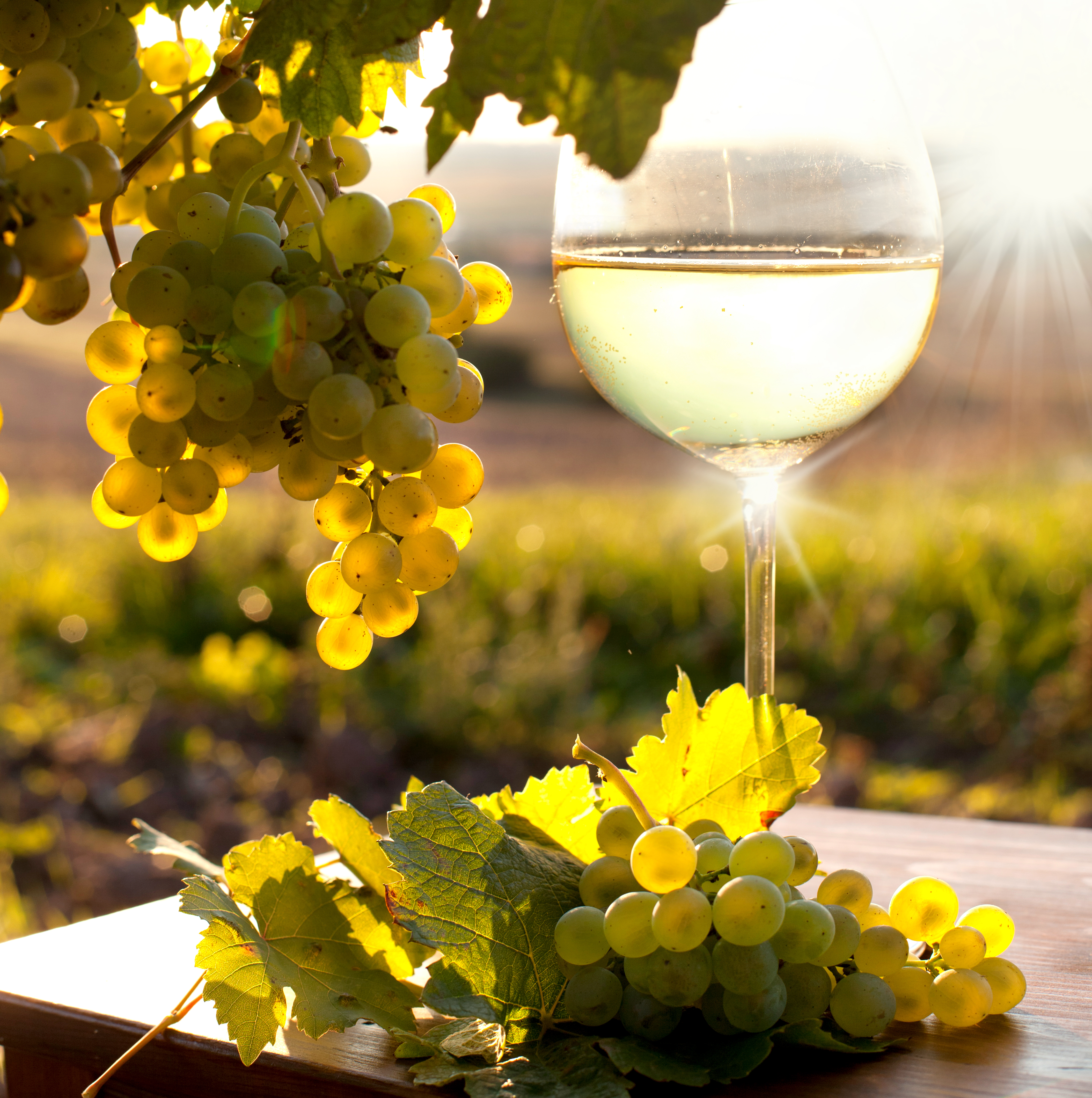 Grape Escape Picture