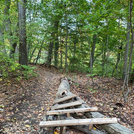 Makamah Nature Preserve