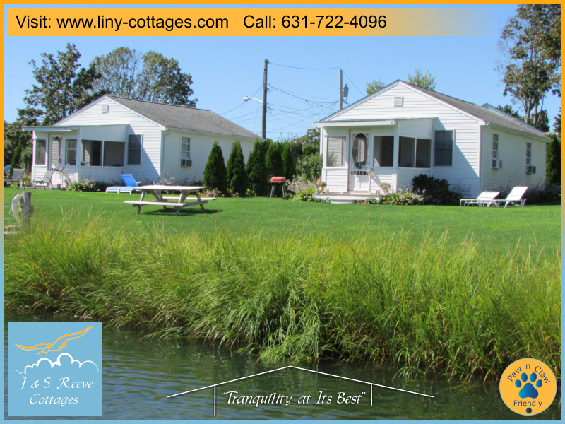 waterfront vacation rentals - Cottages 1, 2 and 3 on the water