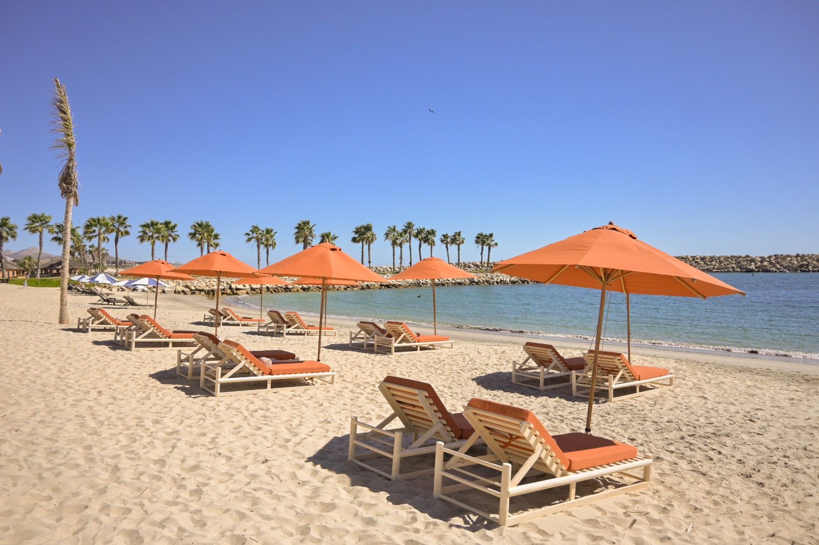 Veleros Beach Club
