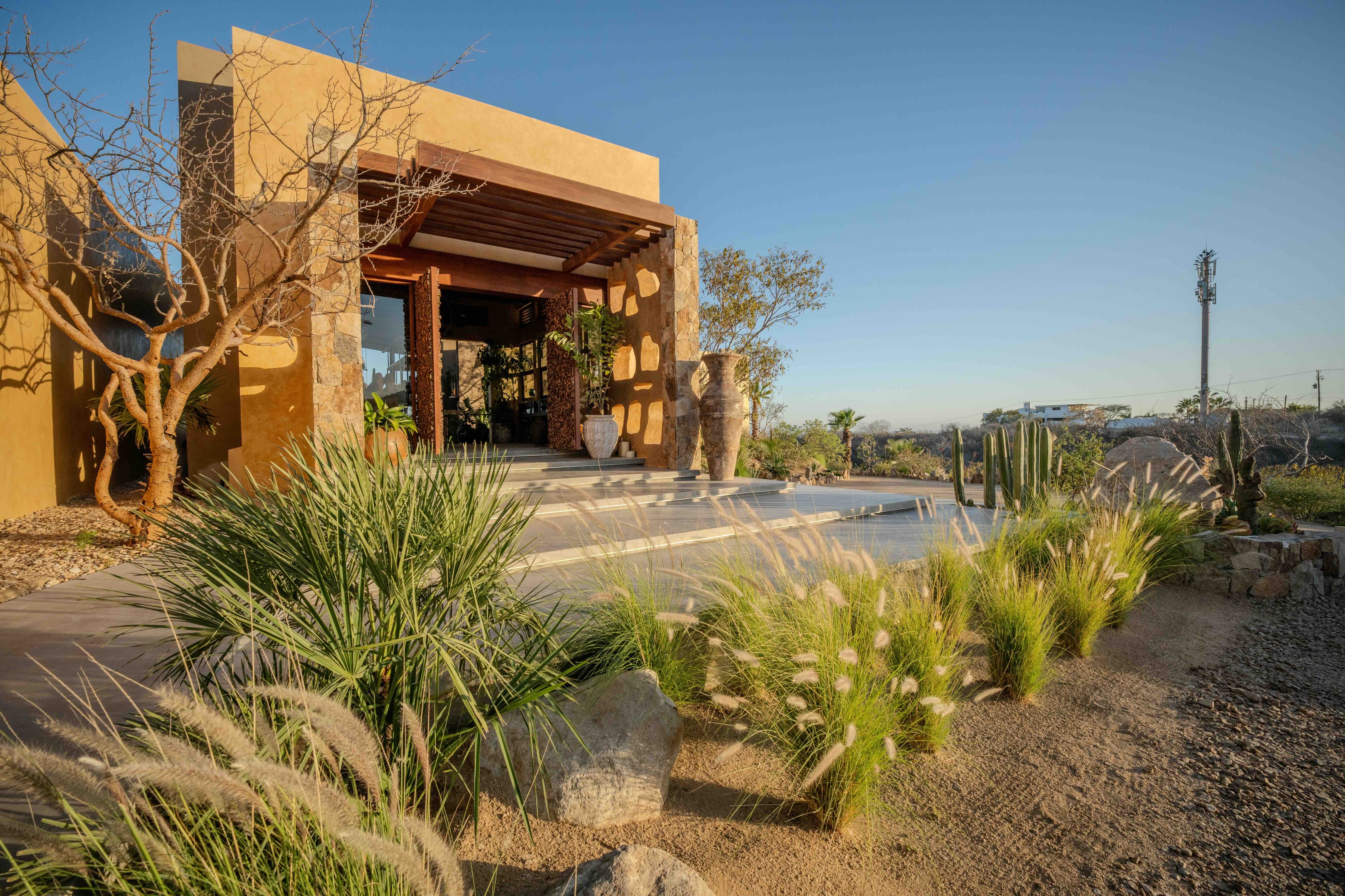 Amara Baja