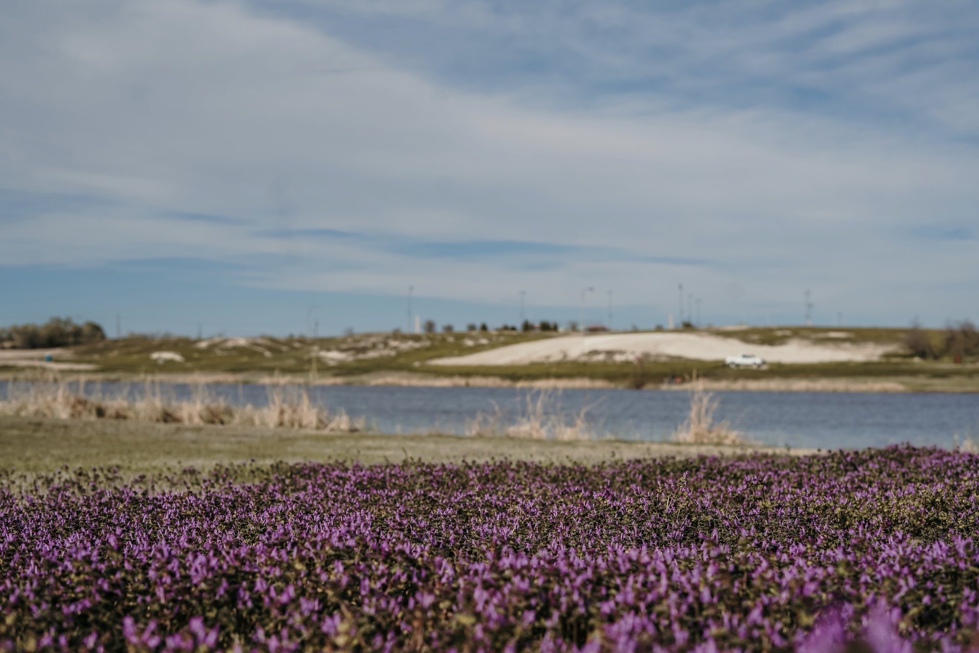Mackenzie Park Recreation, Equestrian Trails & Disc Golf in Lubbock, TX