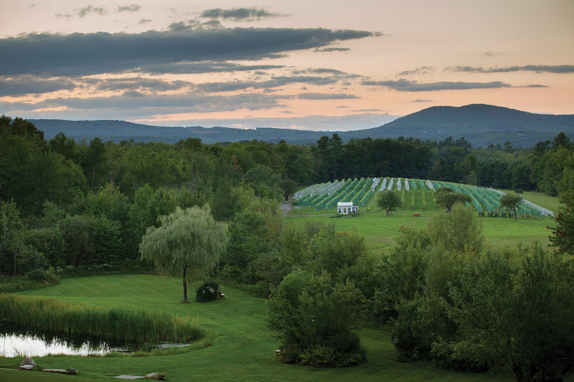 Cellardoor Winery