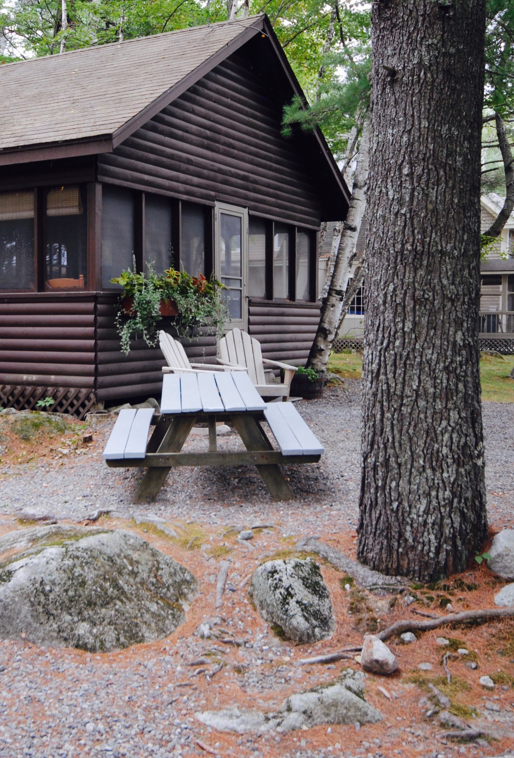 Big Moose Inn Cabins Campground Restaurant Millinocket Me 04462