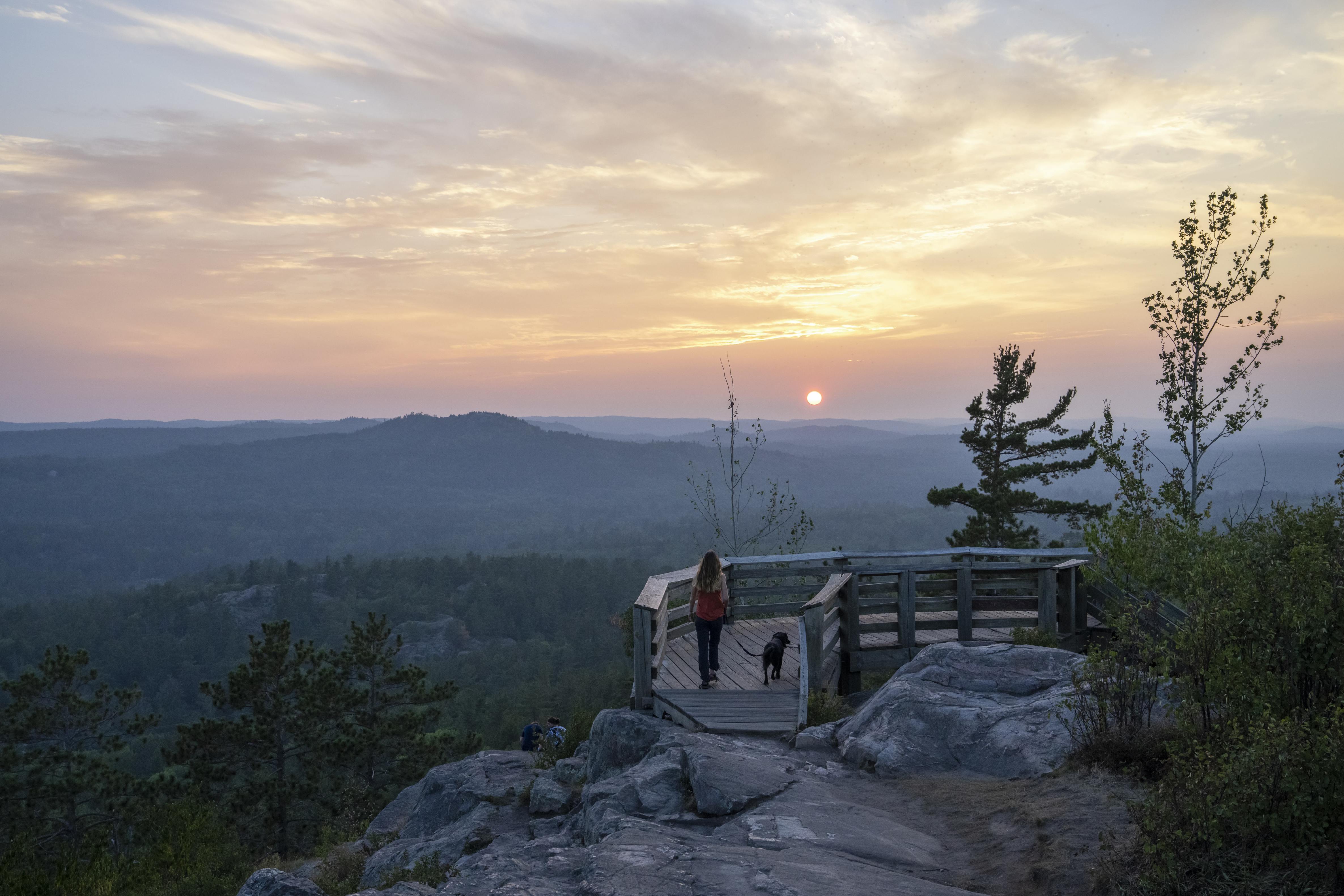 se permiten perros en sugarloaf marquette mi