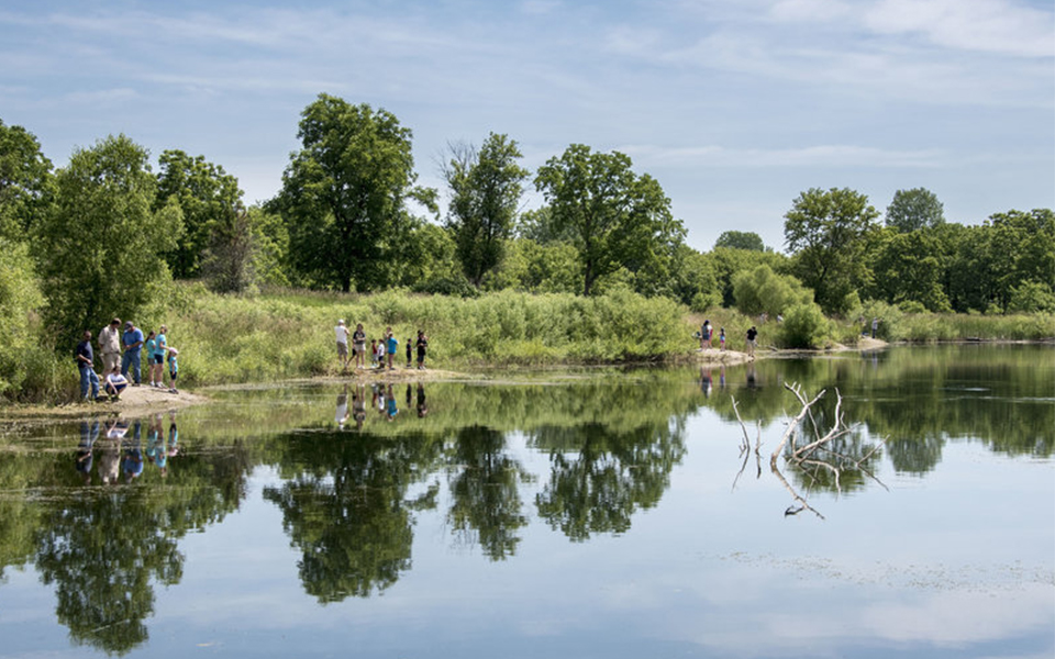 The Hollows Conservation Area