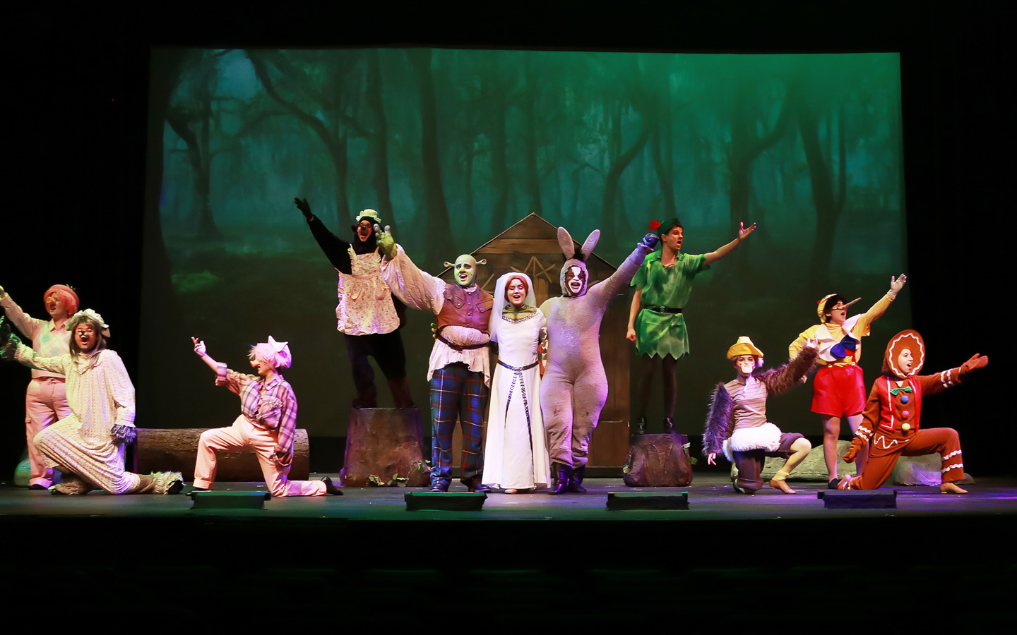 Shrek: The Musical Miami Miami Beach