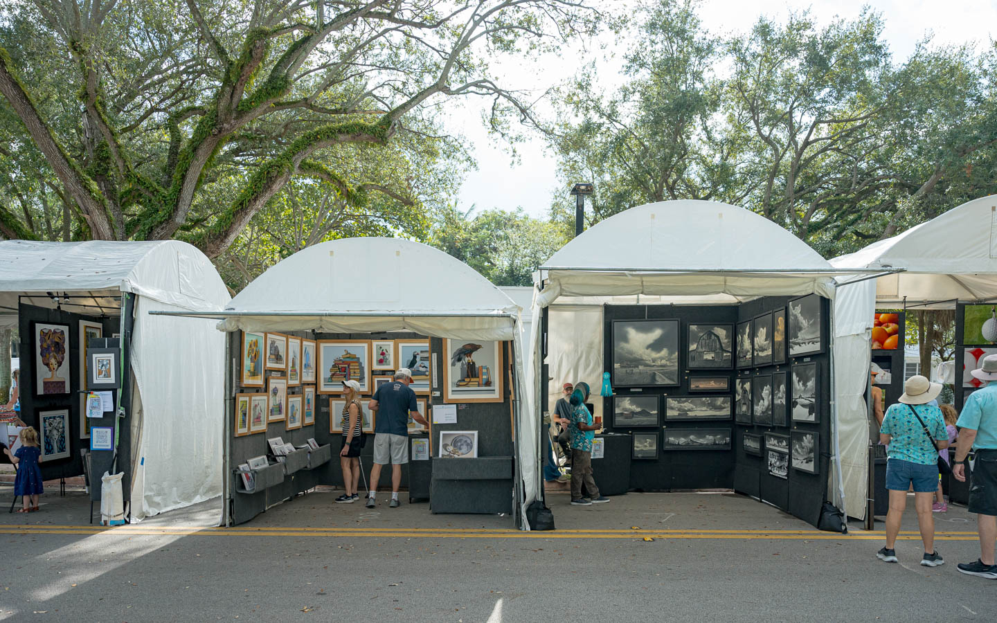 Festival de Bellas Artes | Miami y Miami Beach, image size:1440x900