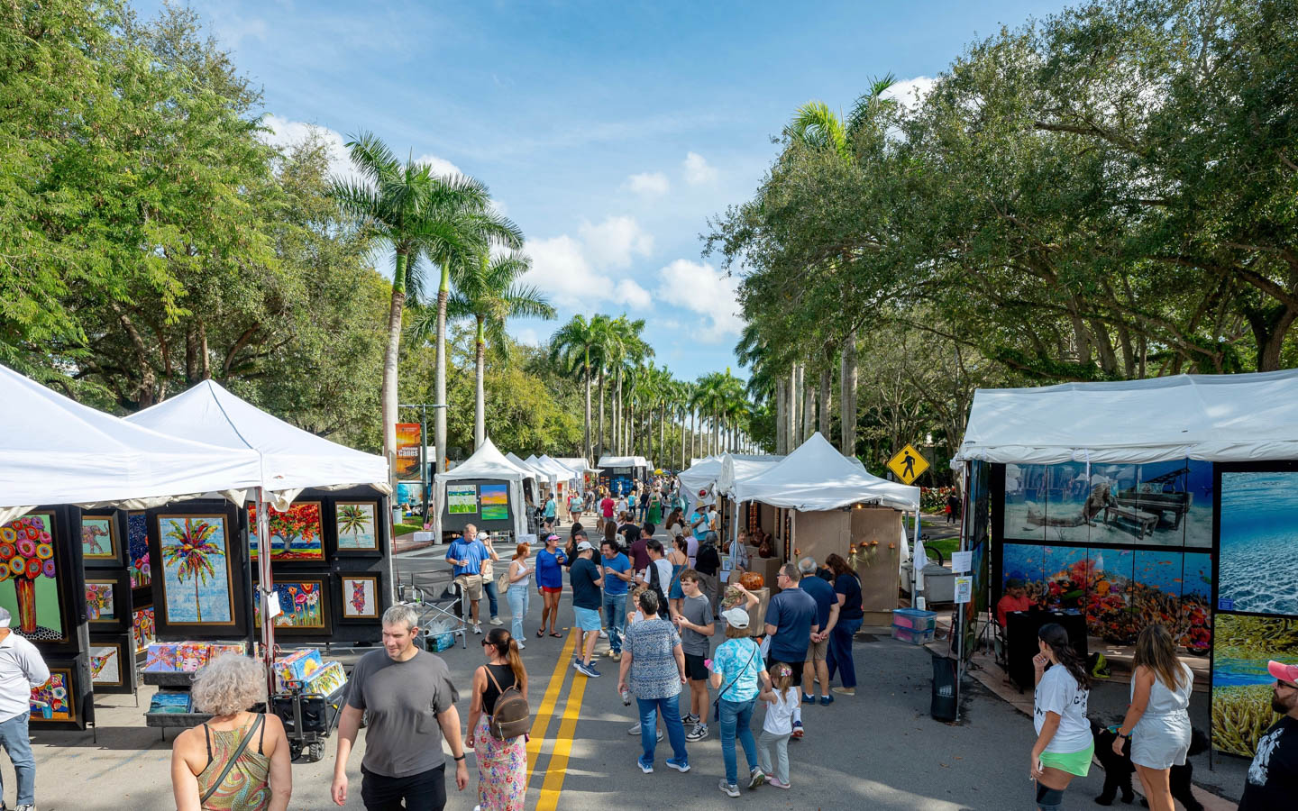 Festival de Bellas Artes | Miami y Miami Beach, image size:1440x900