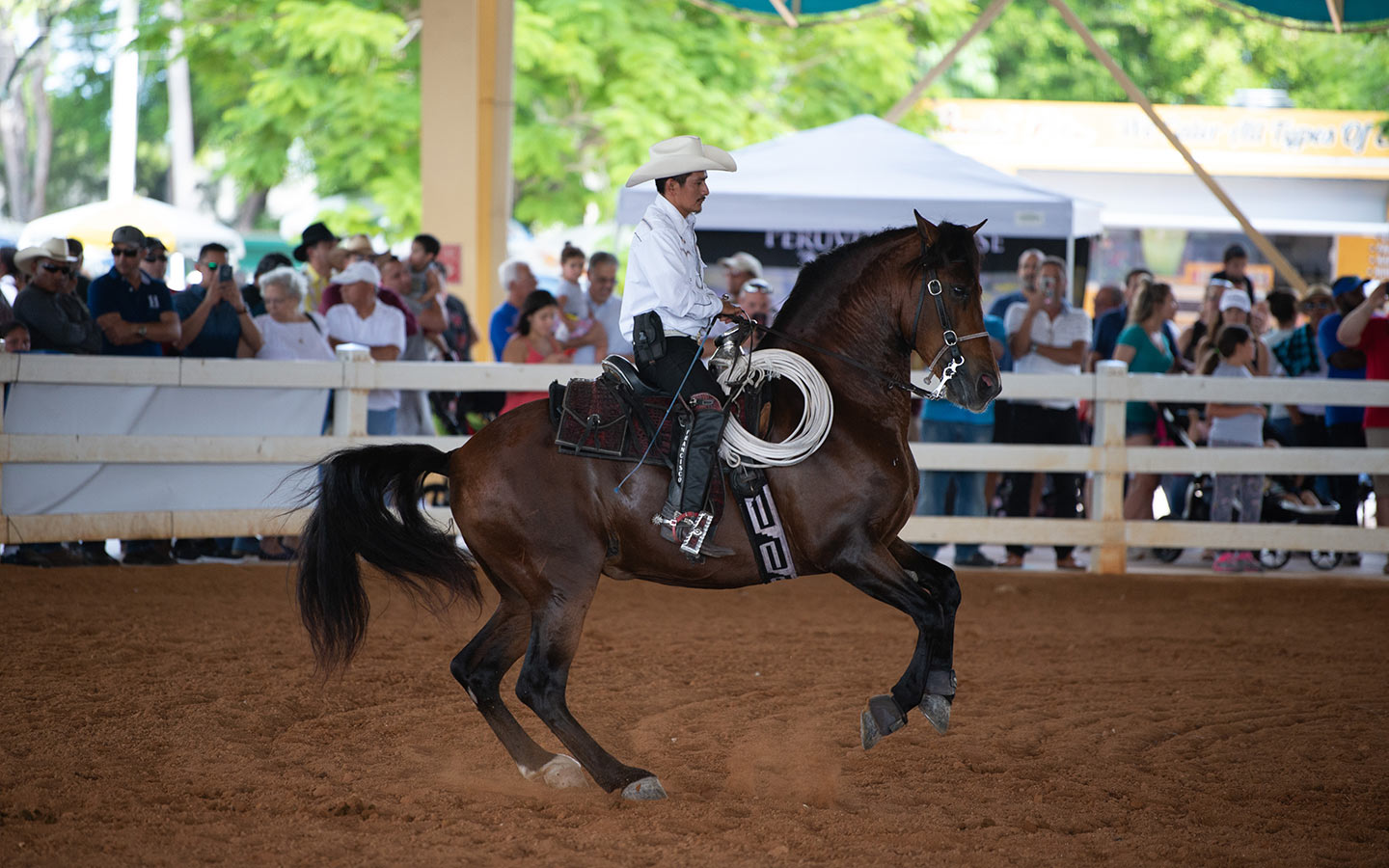 Miami Dade CountryFest Greater Miami & Miami Beach