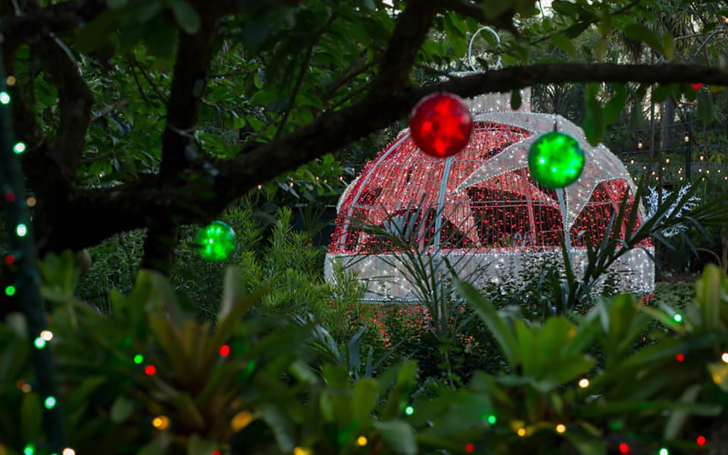 Nights of Lights at Pinecrest Gardens Greater Miami & Miami Beach