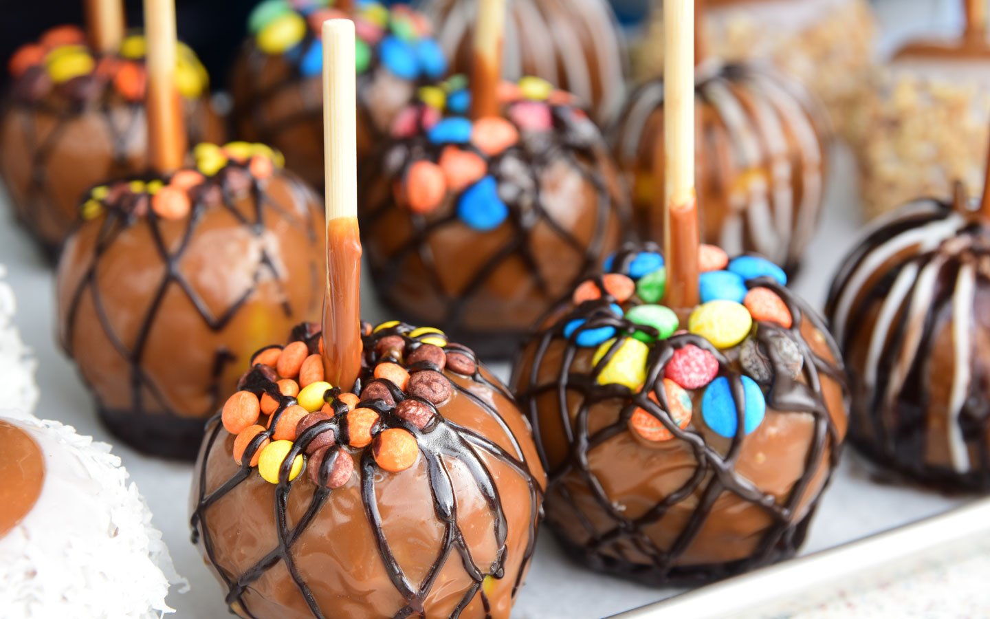 La feria de la juventud Gran Miami y Miami Beach