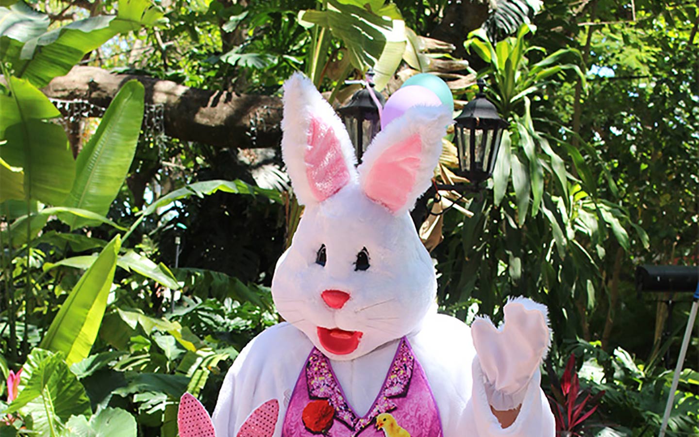 Easter Funday Greater Miami & Miami Beach