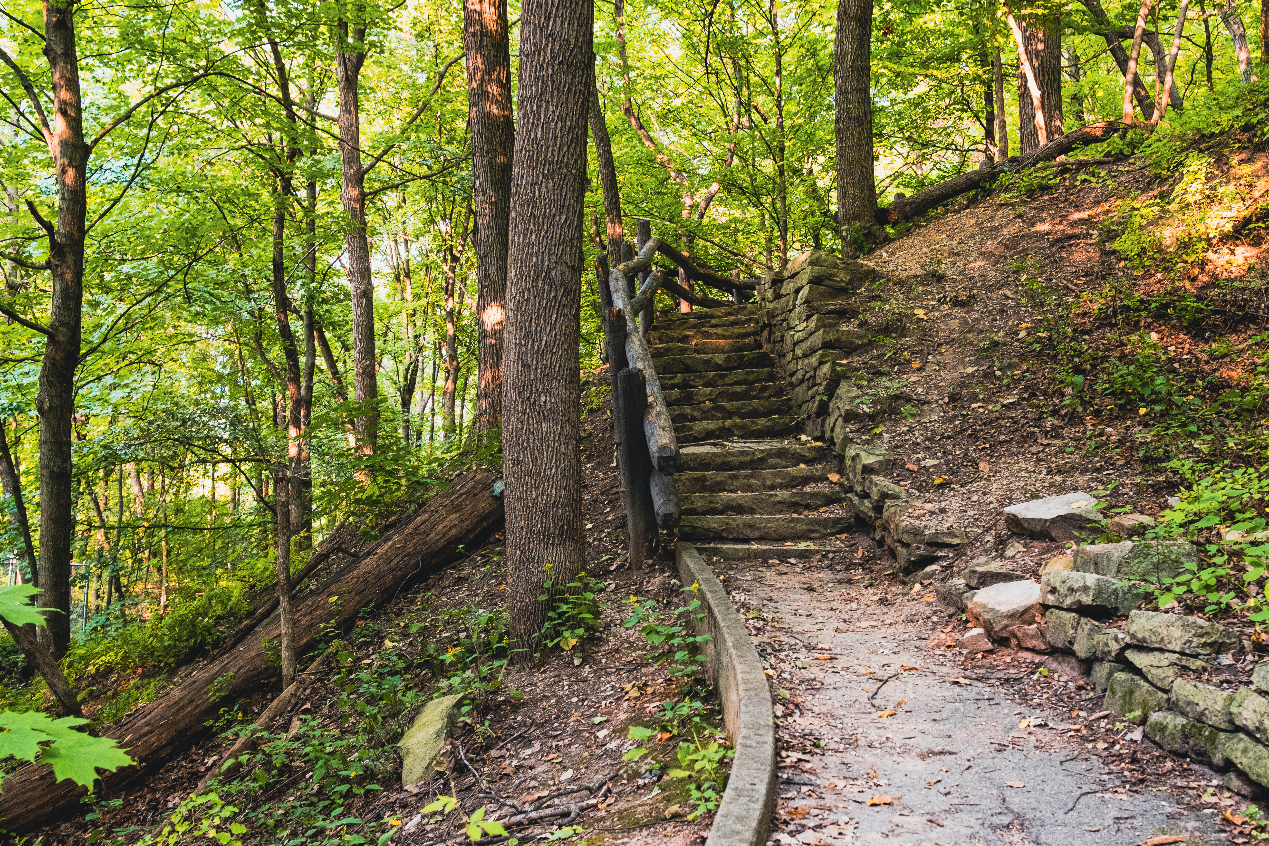 Jacobus Park